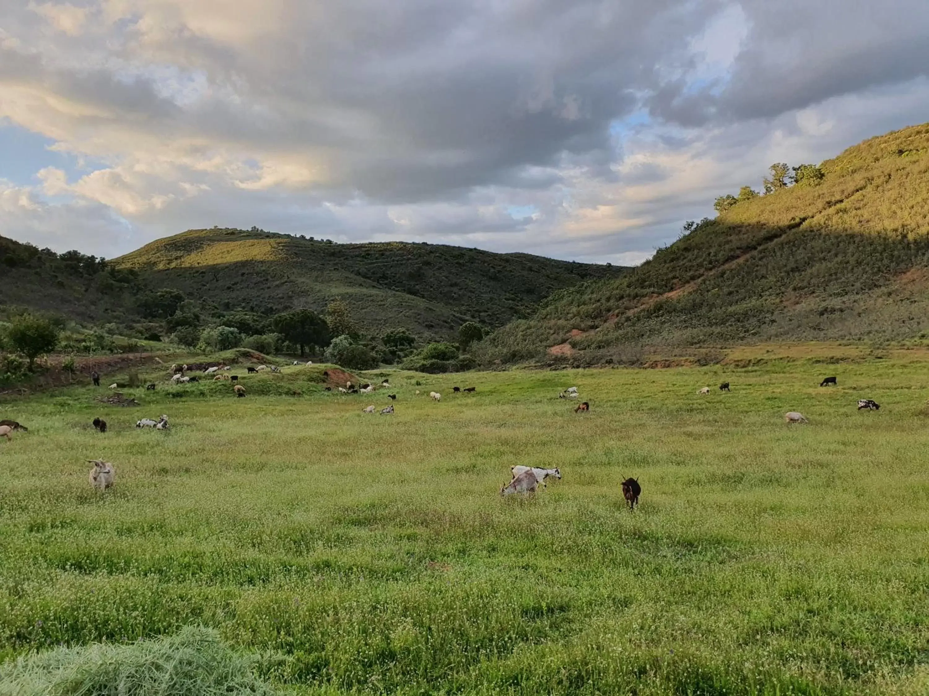 Natural Landscape in Quinta Pedra Dos Bicos