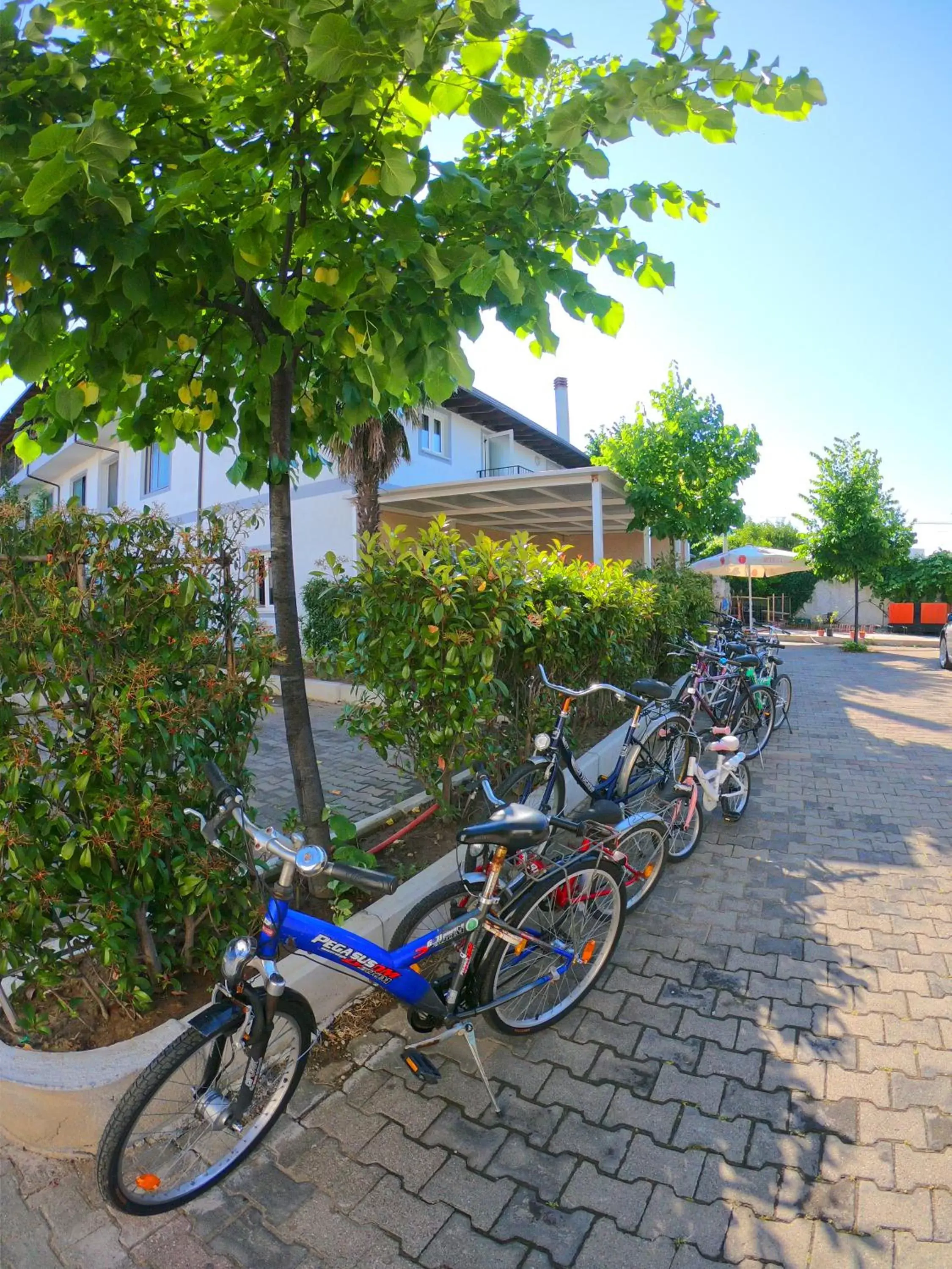 Cycling, Biking in Hotel Bicaj