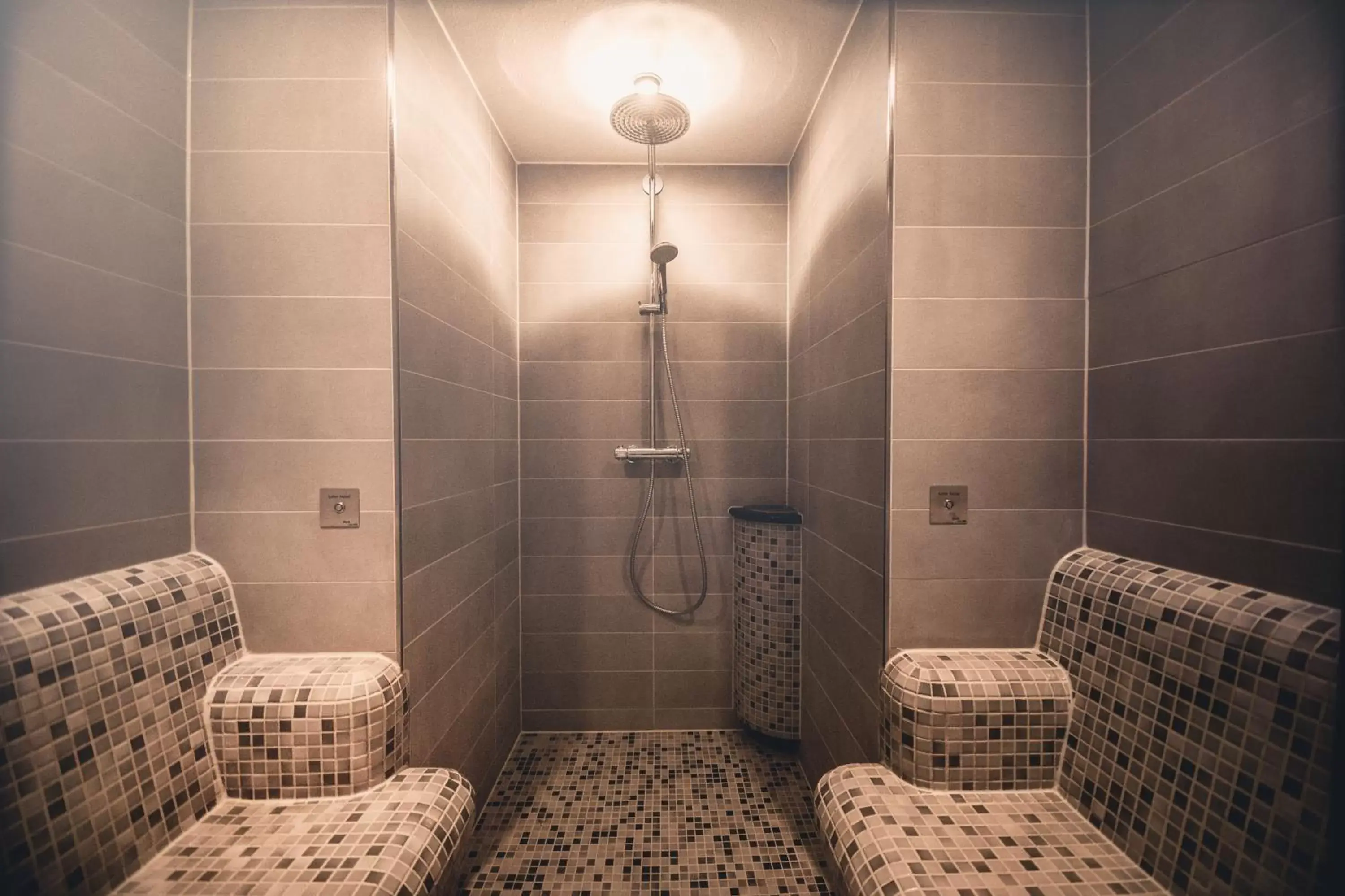 Steam room, Bathroom in Hotel Asgard