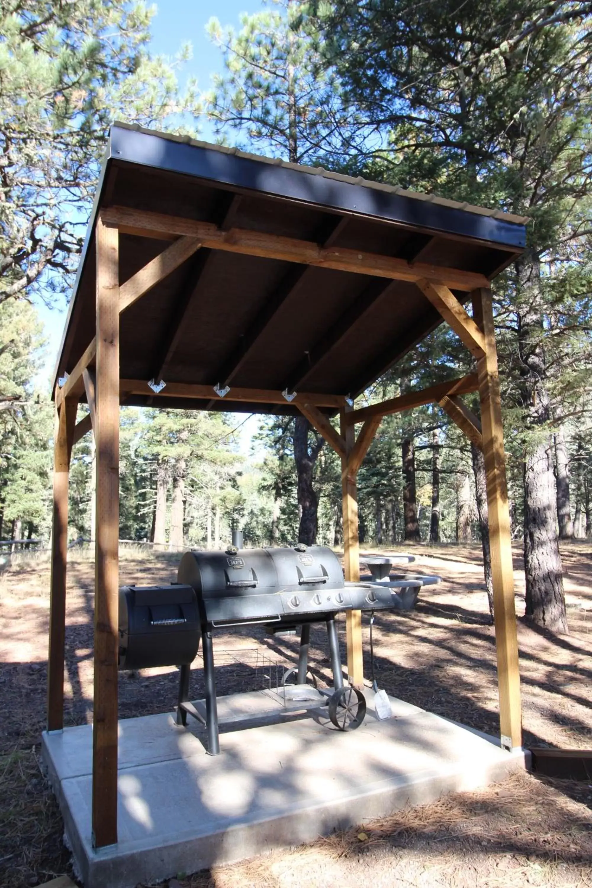 Day, BBQ Facilities in The Retreat at Angel Fire