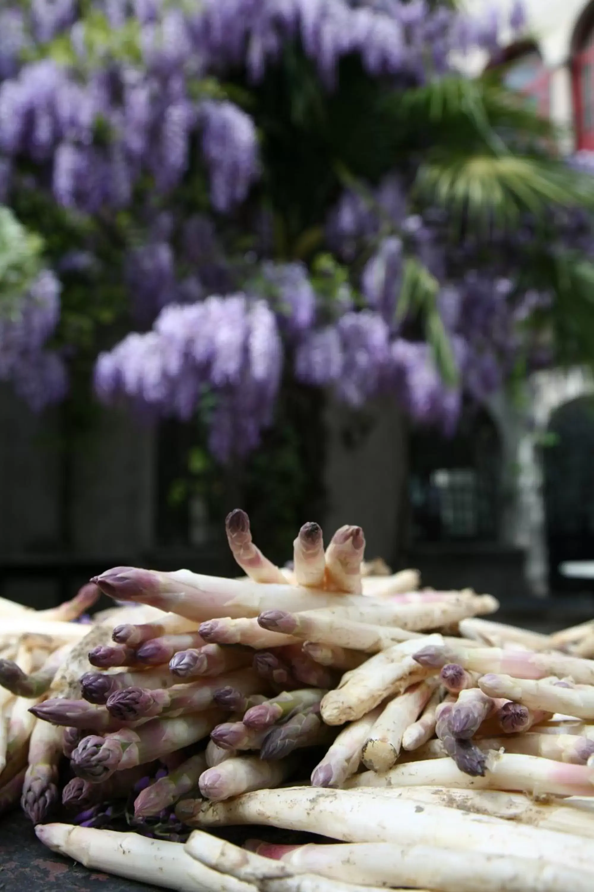 Food in Albergo Ristorante Madonnina