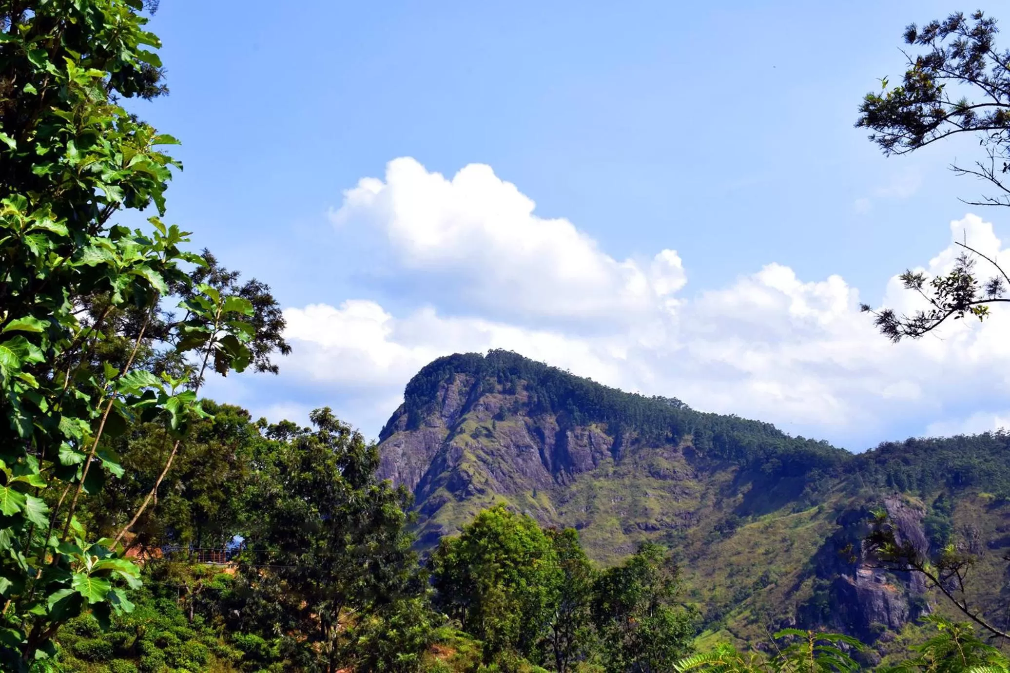 Mountain view in The Chillout Ella