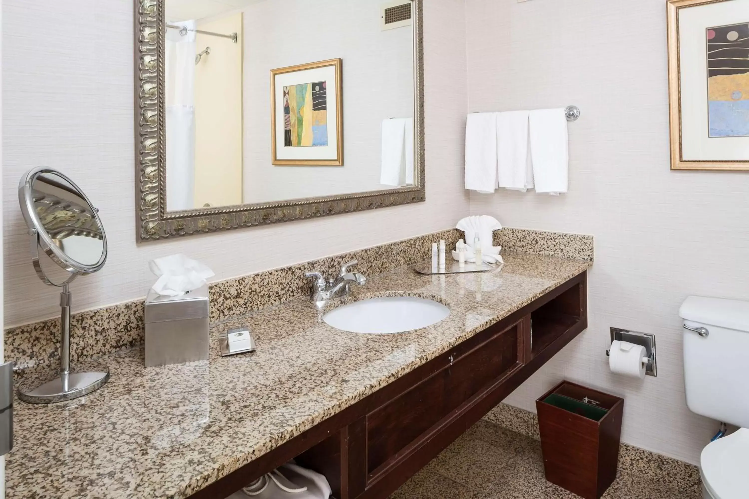 Bathroom in DoubleTree by Hilton Boston-Milford