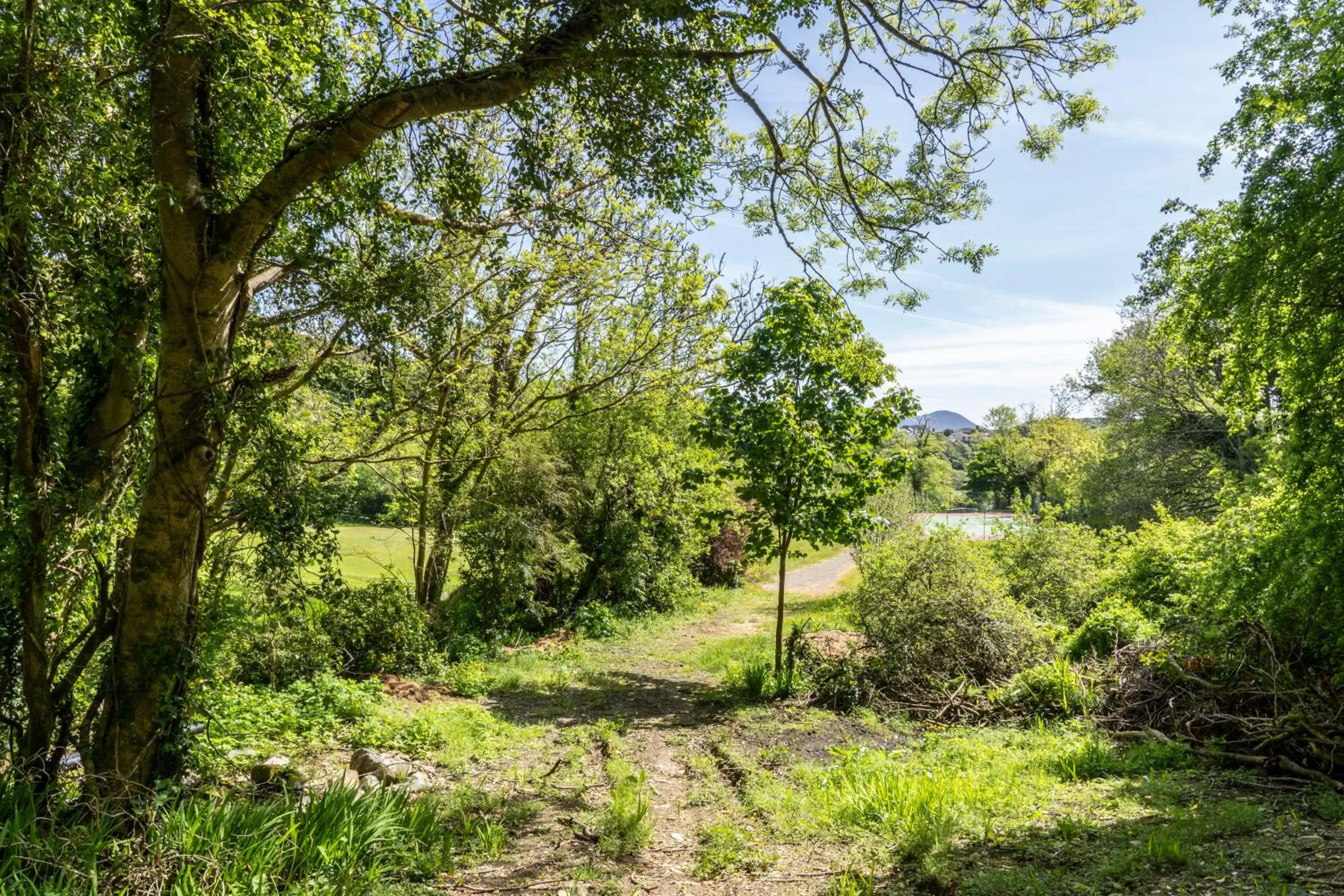 Natural landscape in Abbeyglen Castle Hotel