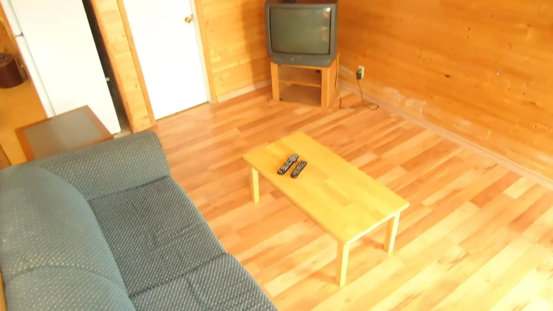 TV/Entertainment Center in Dreamland Motel