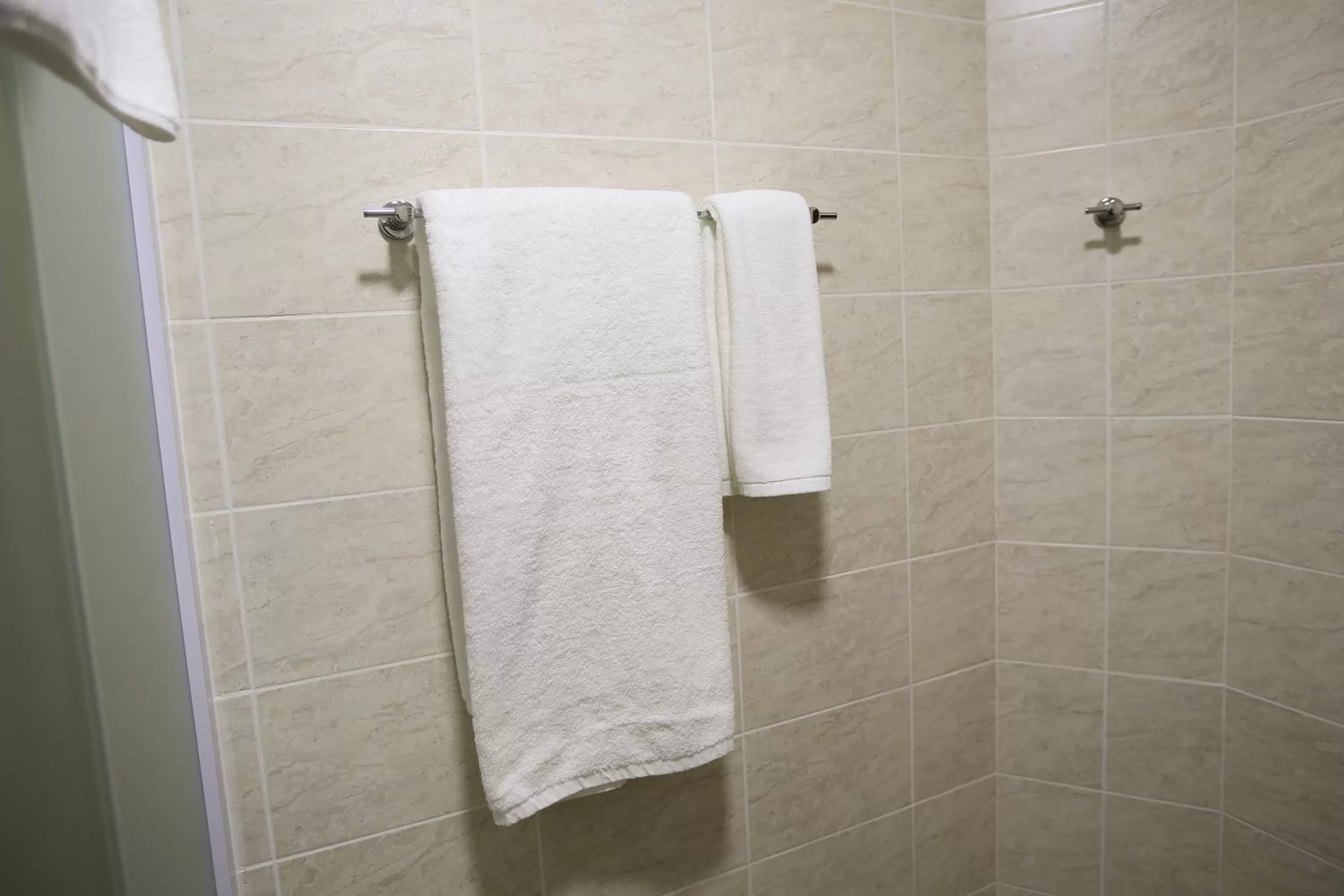 Altai Business Hotel