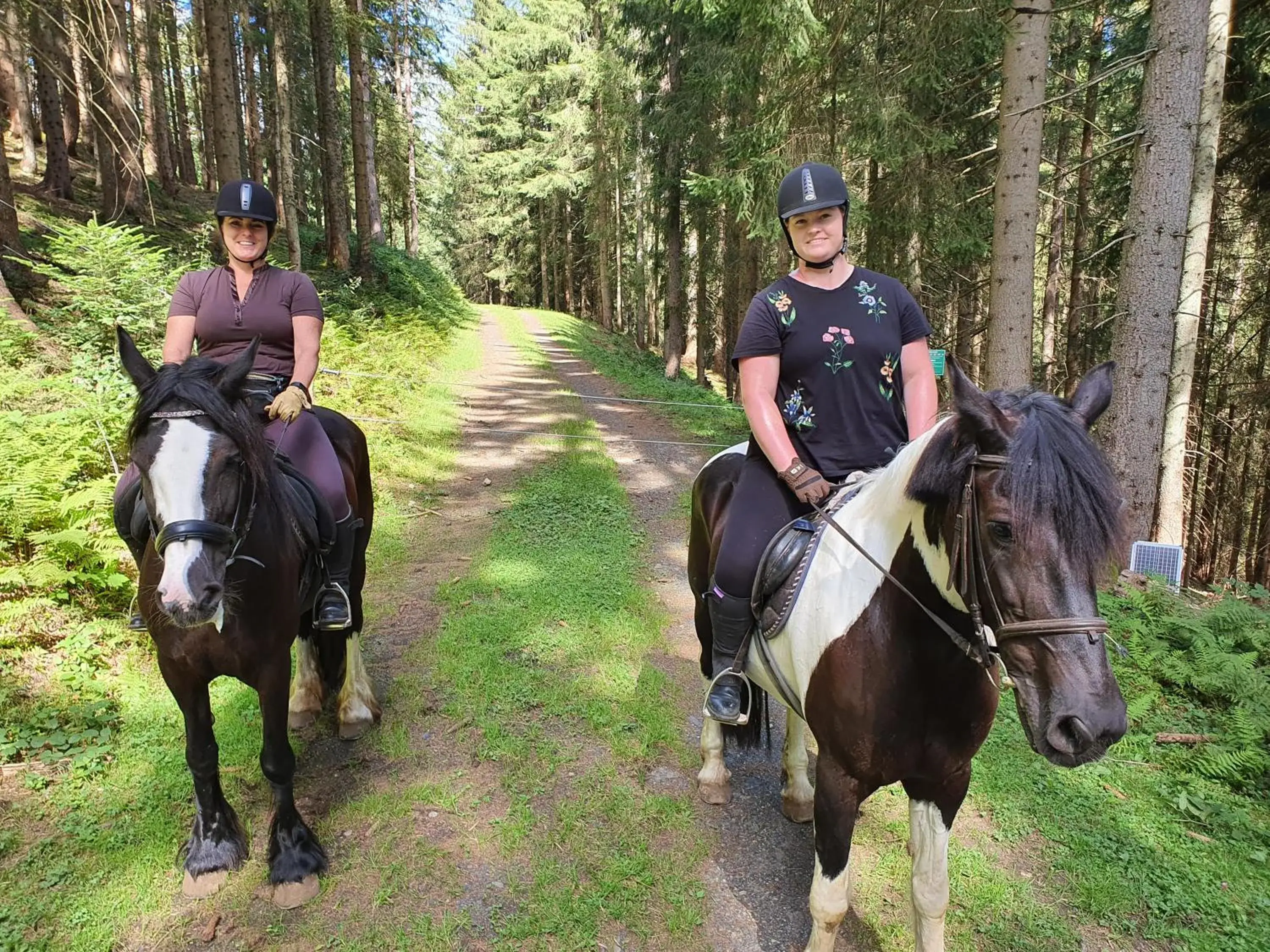 Activities, Horseback Riding in Alpenhof