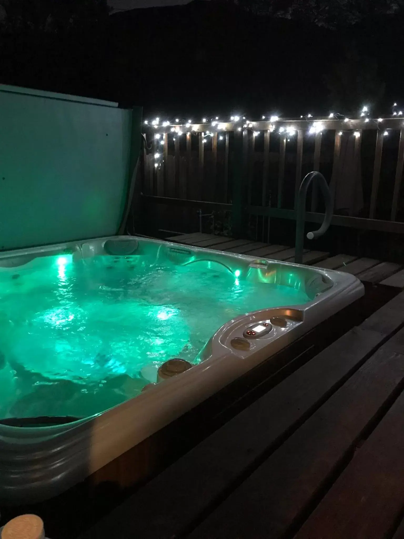 Hot Tub, Swimming Pool in Downtown B&B with Jacuzzi