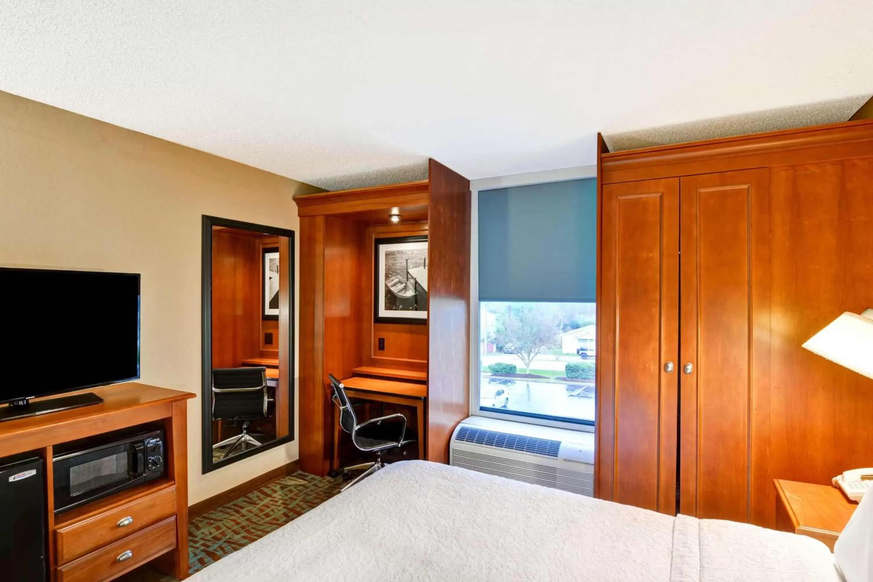 Bedroom, TV/Entertainment Center in Hampton Inn Hendersonville