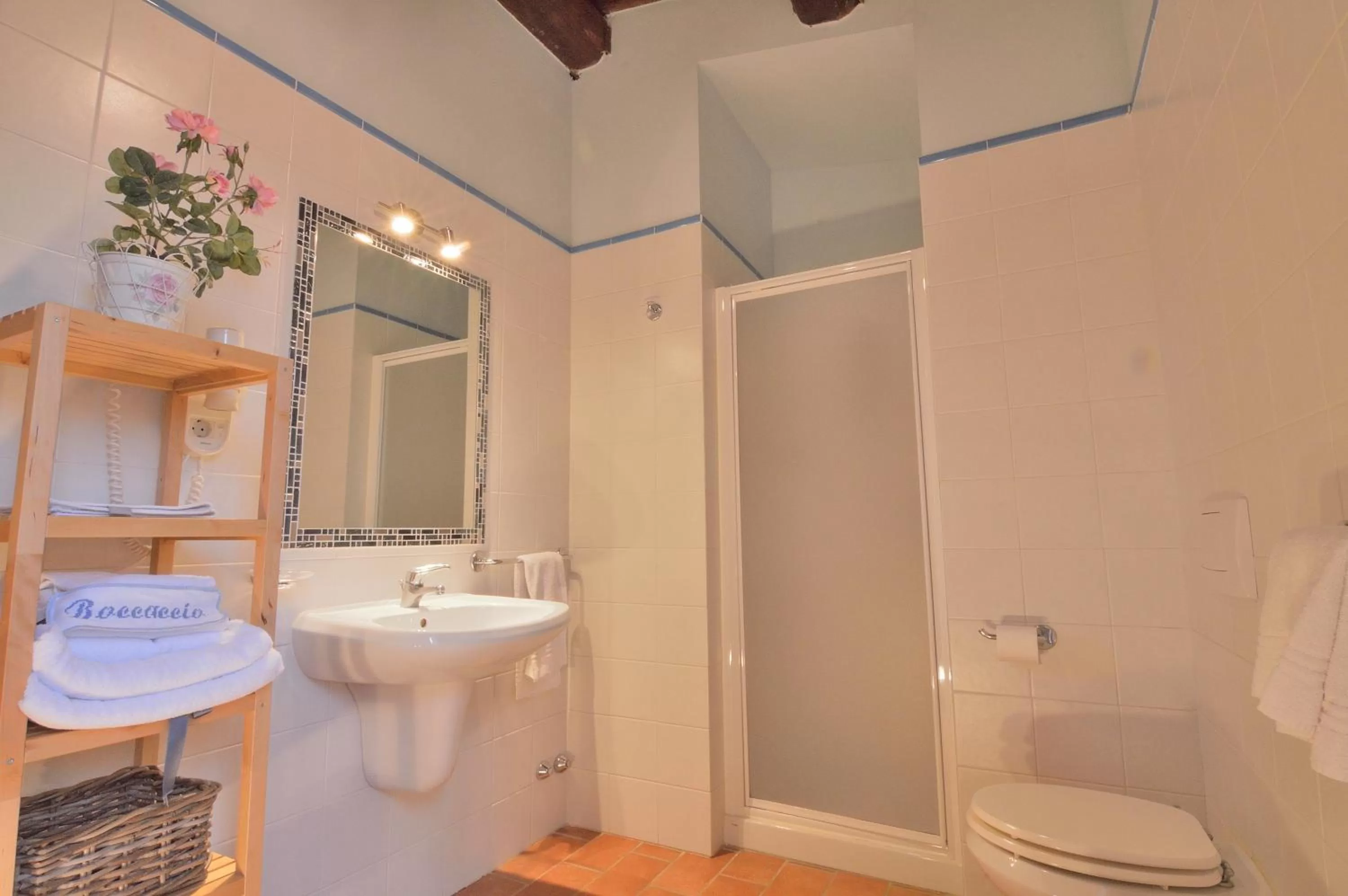 Bathroom in Podere Benintendi