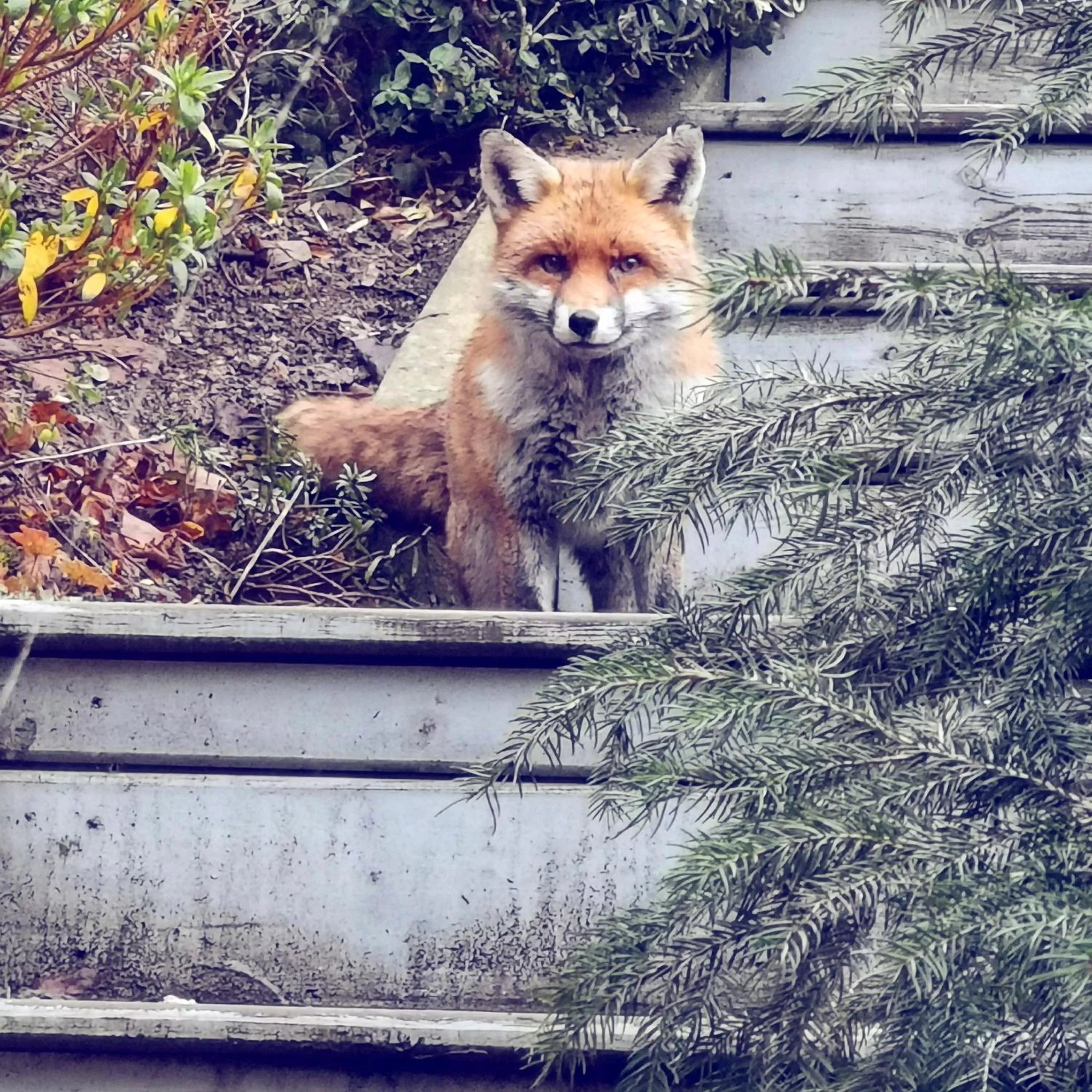 W'allons nous dormir