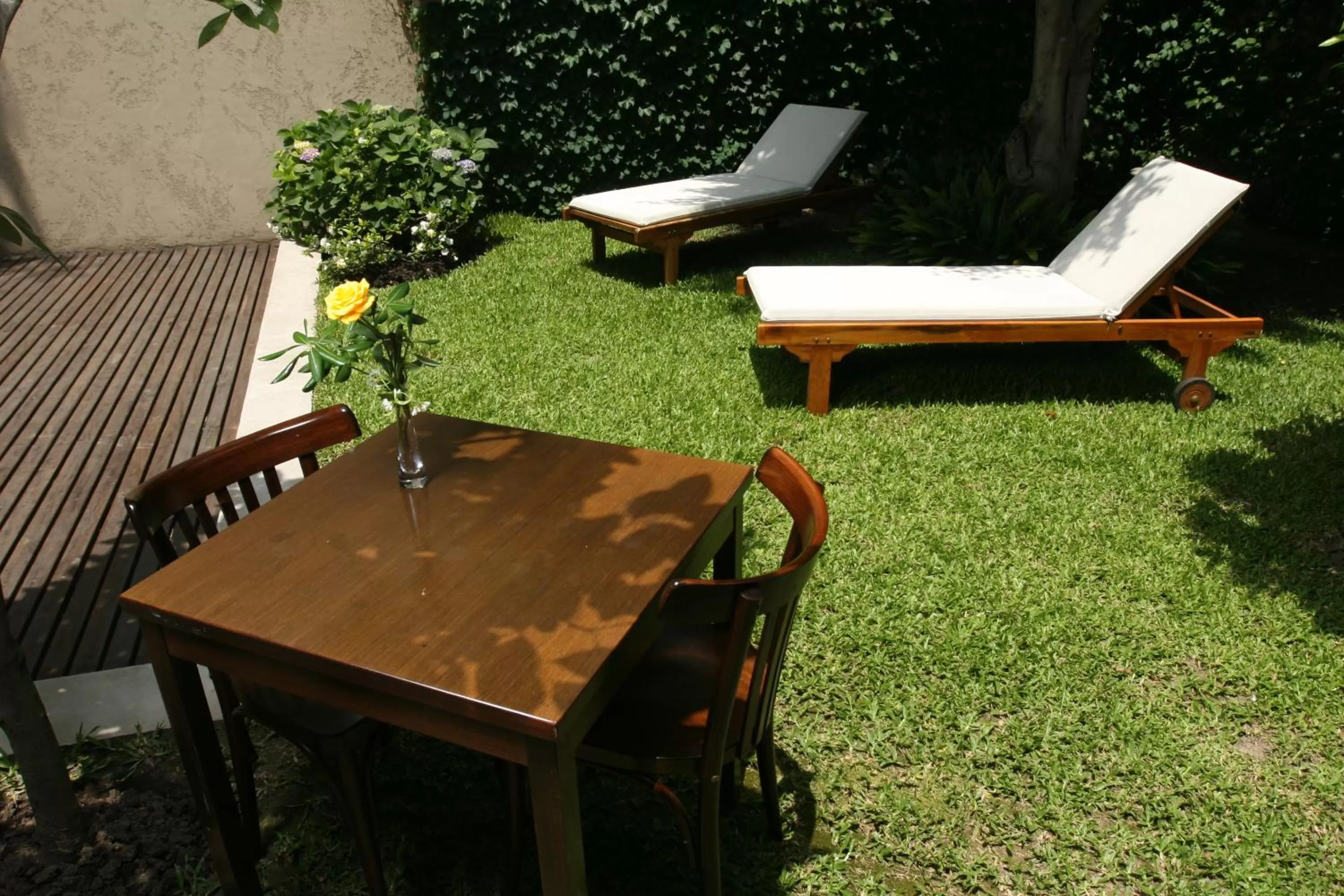 Garden in 248 Finisterra