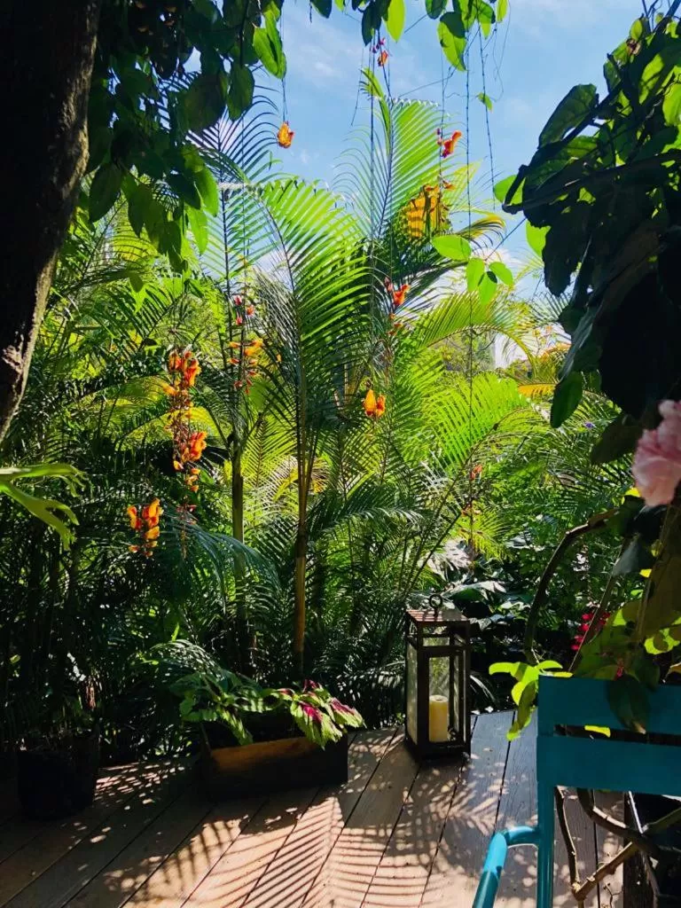 Garden in Patio del Mundo