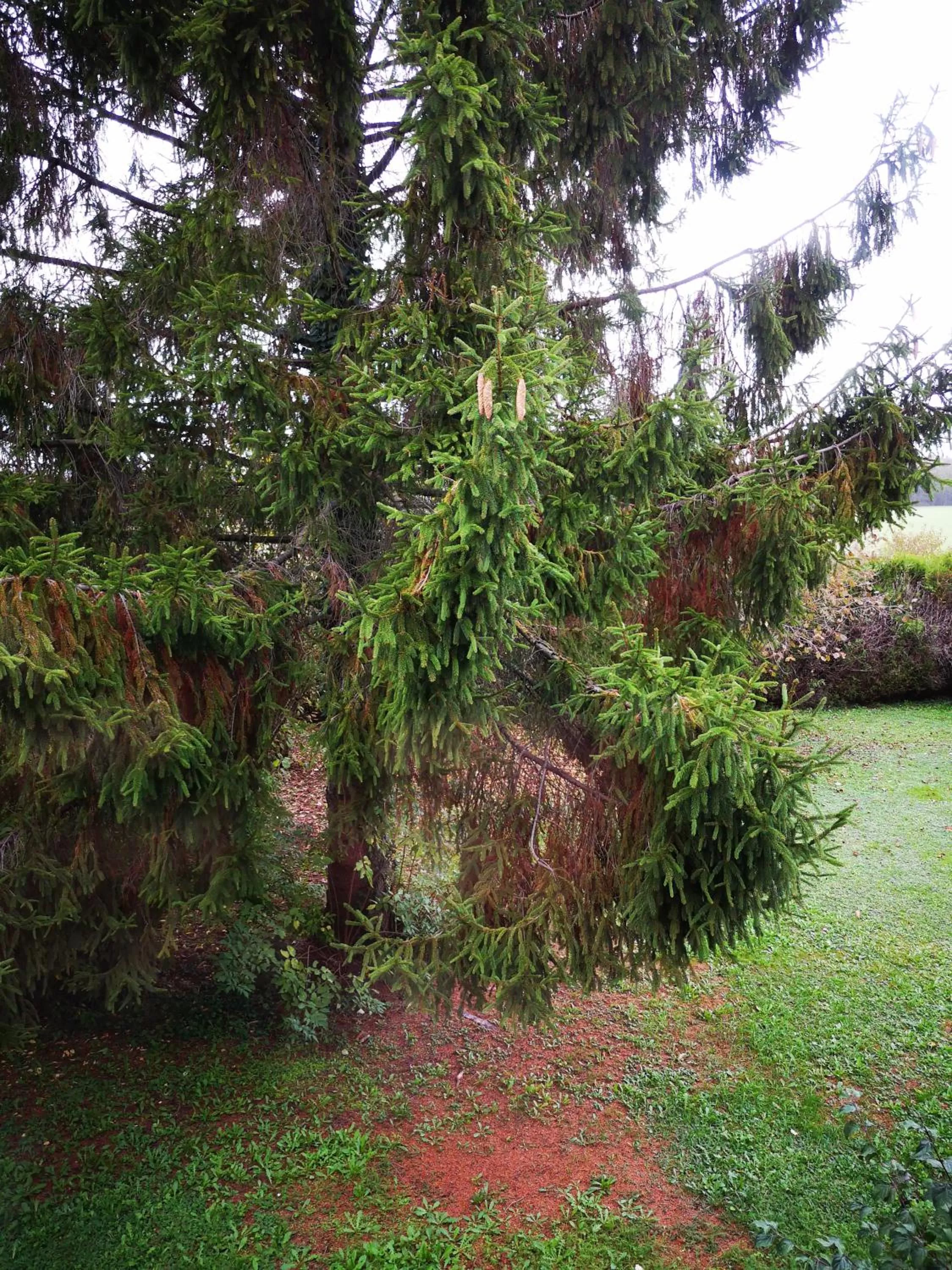 Garden in Domaine de la Borde