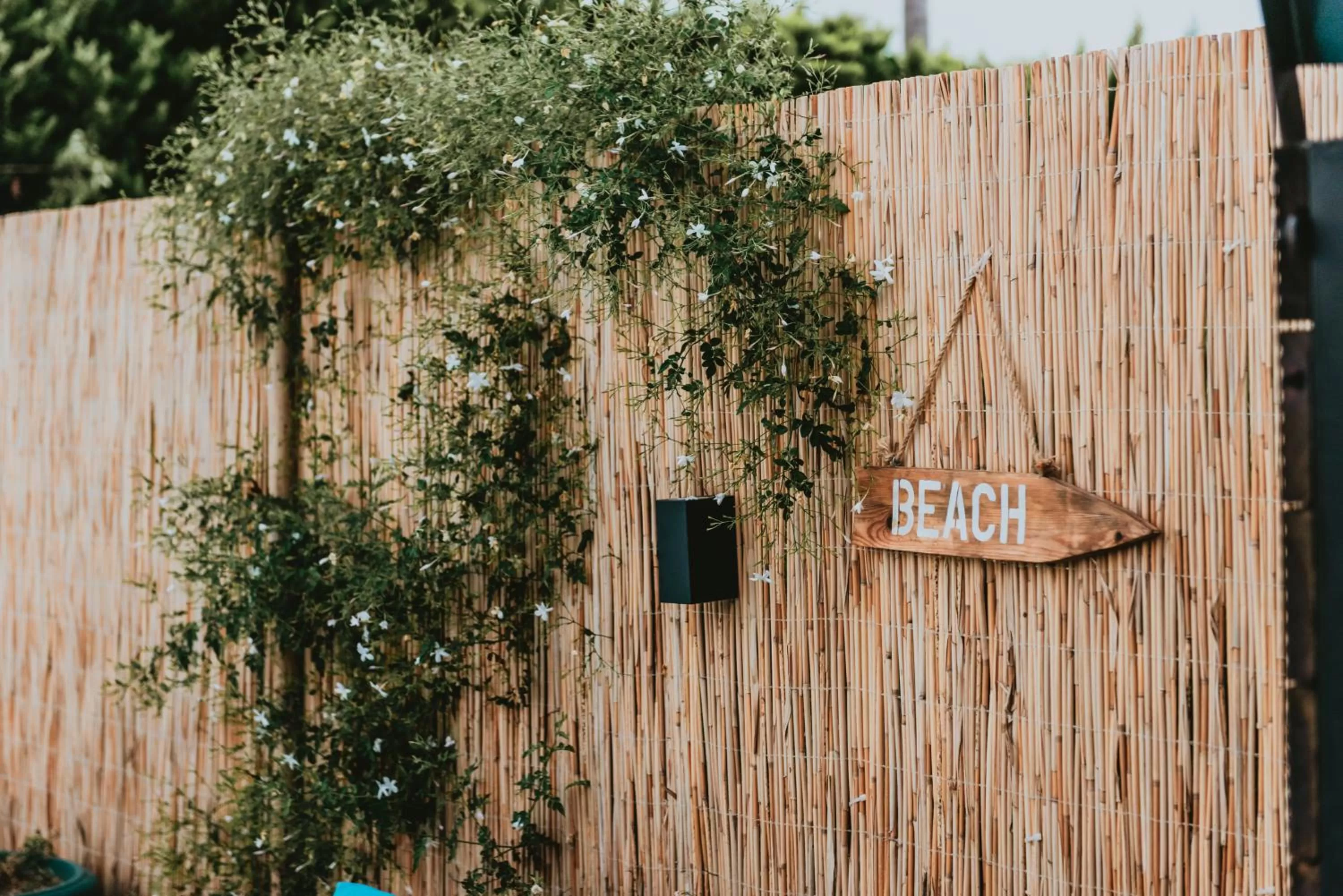 Garden in Sunside Inn Hotel