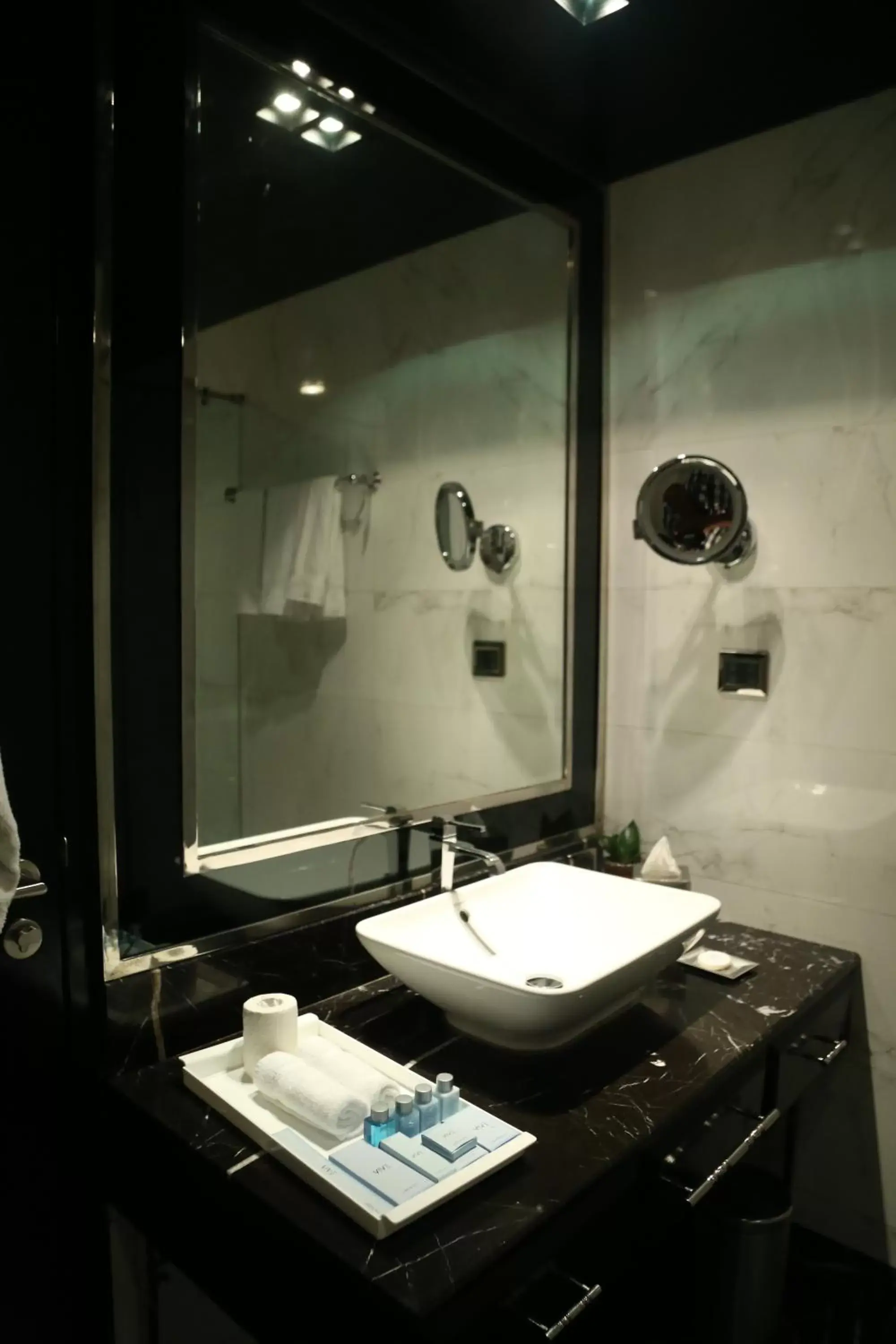 Bathroom in Radisson Blu Hotel New Delhi Paschim Vihar