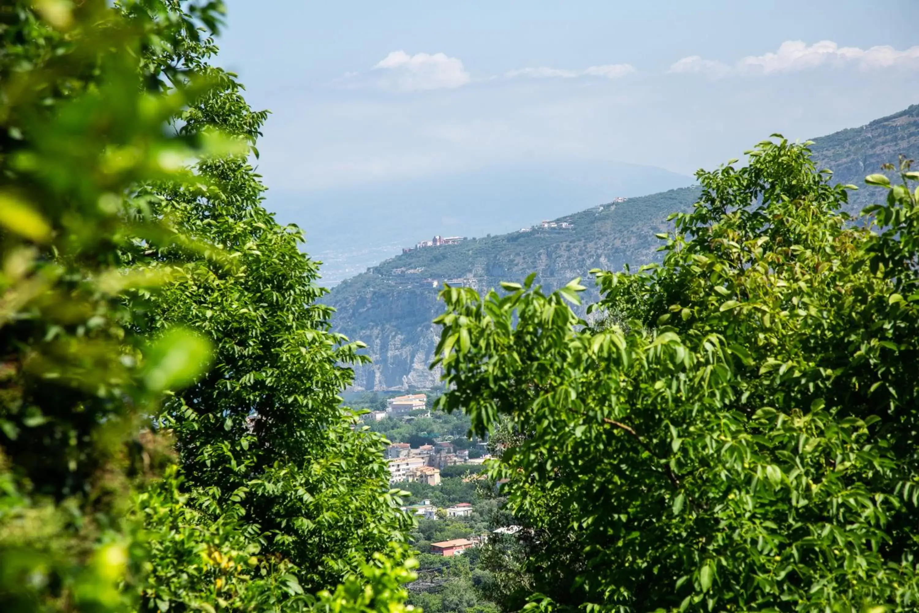 Mountain View in Agriturismo b&b L arancio In fiore