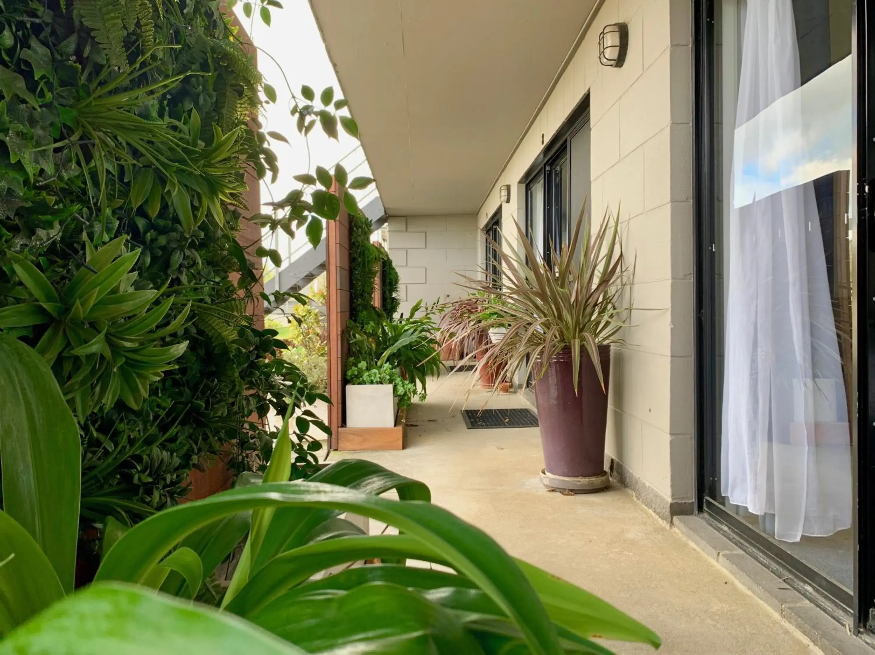 Balcony/Terrace in Apollo Bay Waterfront Motor Inn