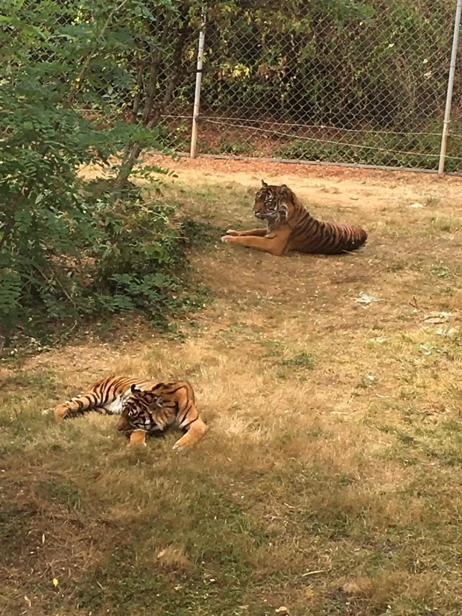 Nearby landmark, Pets in « Chez Annie »