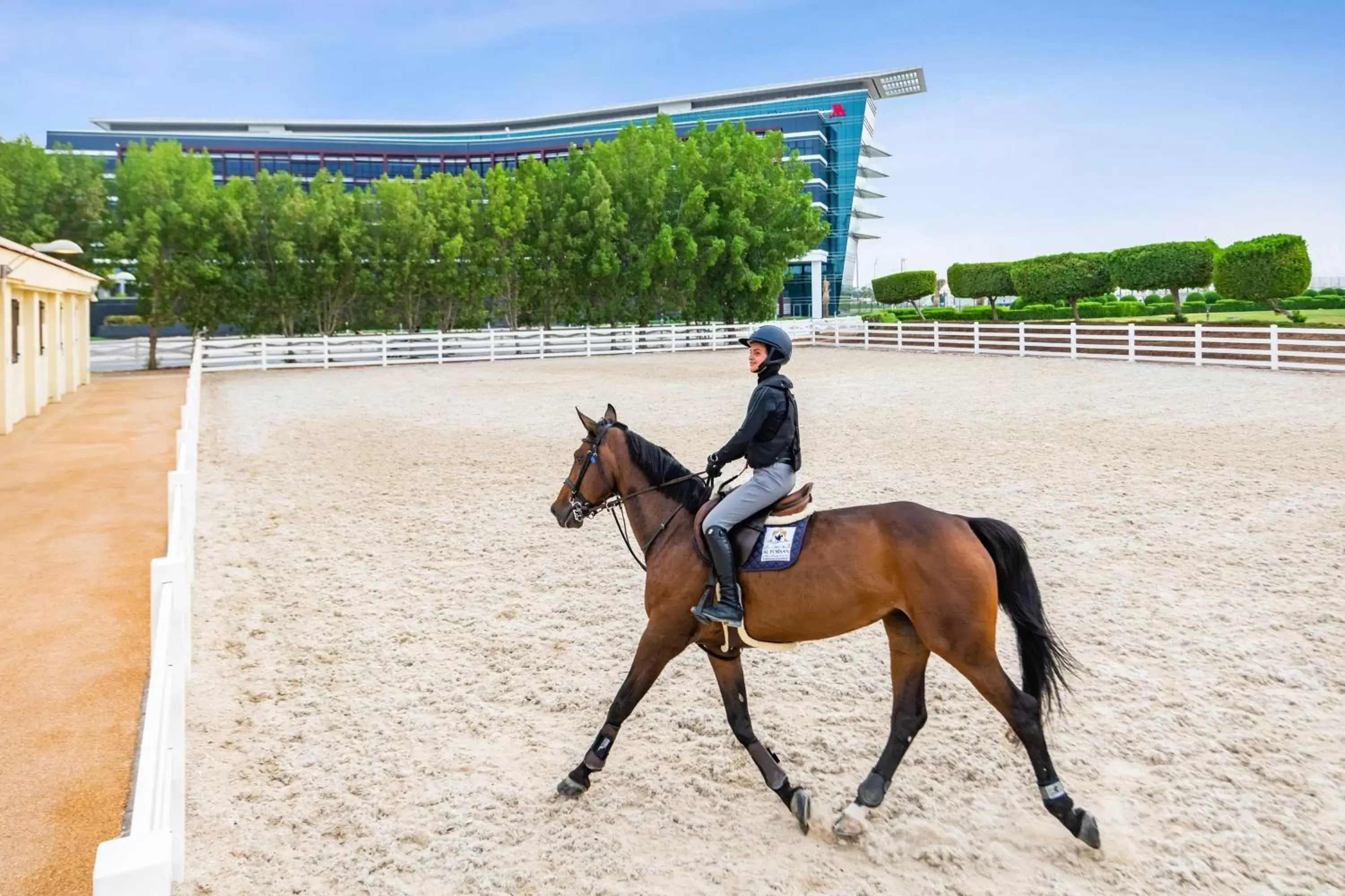 Other, Horseback Riding in Marriott Hotel Al Forsan, Abu Dhabi