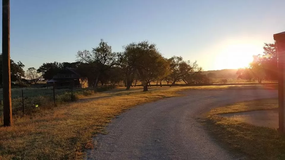 Garden in Full Moon Inn