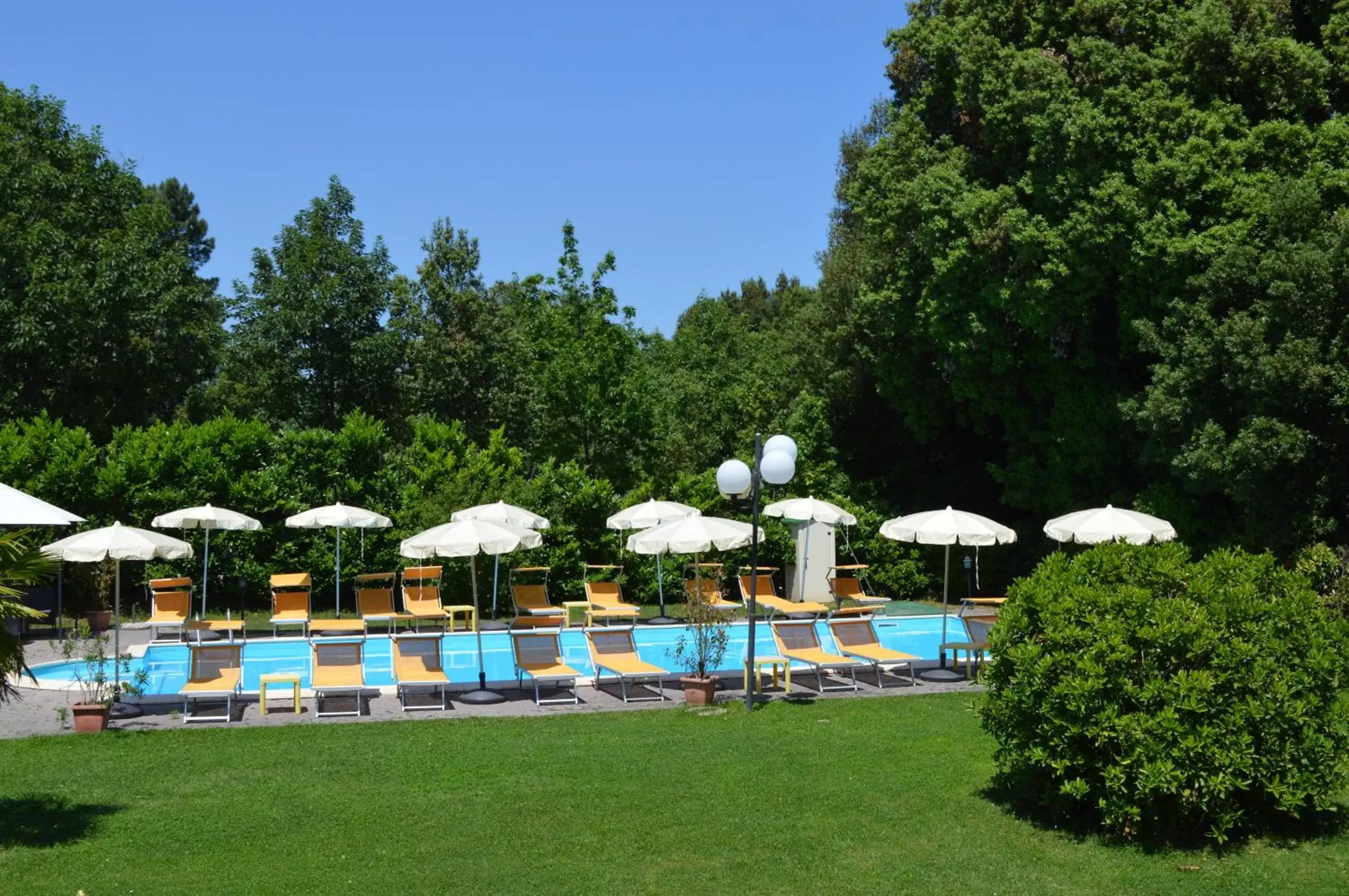 Garden, Swimming Pool in Hotel Monti