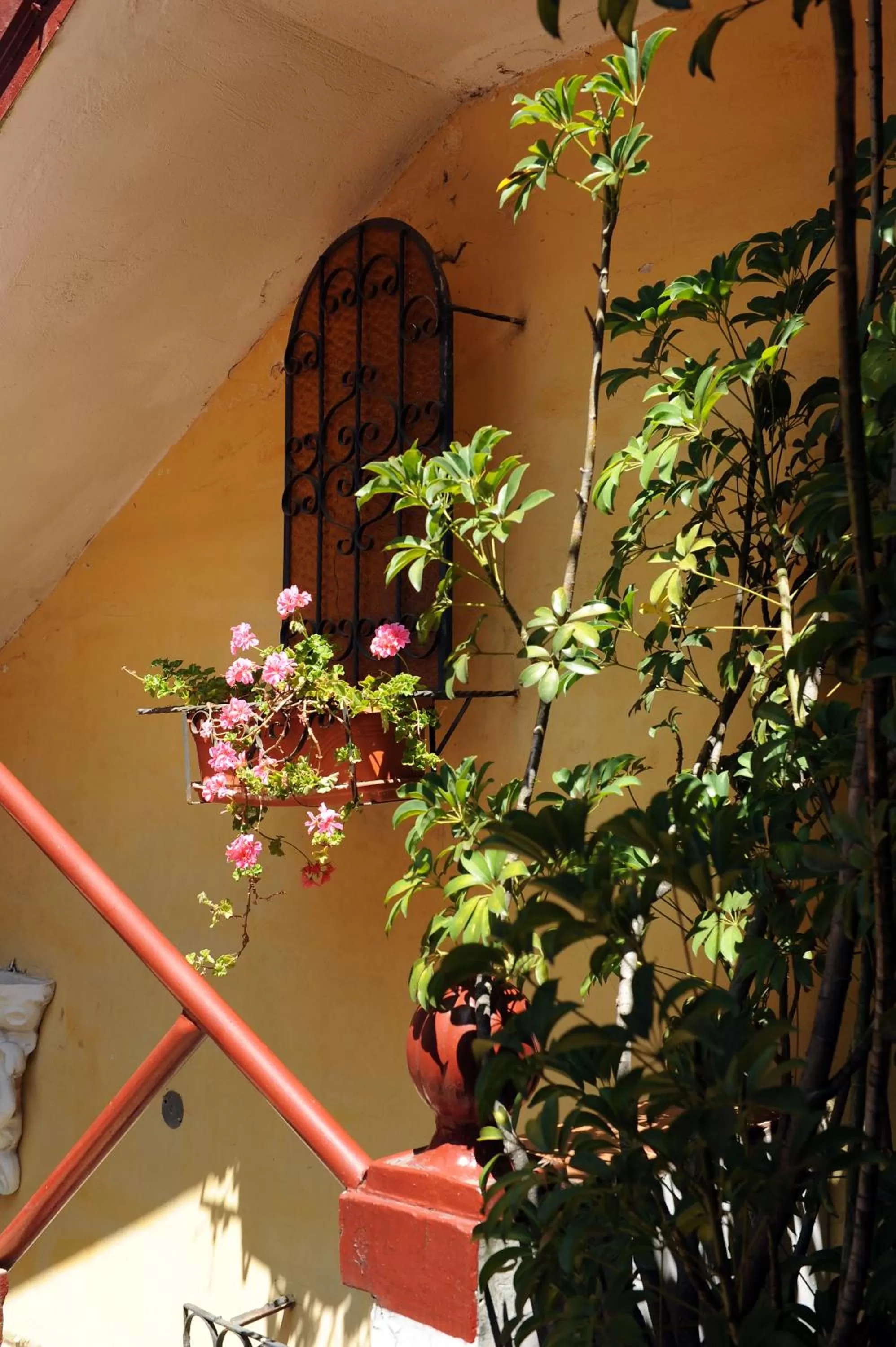Patio in Boutique Hotel Antinea