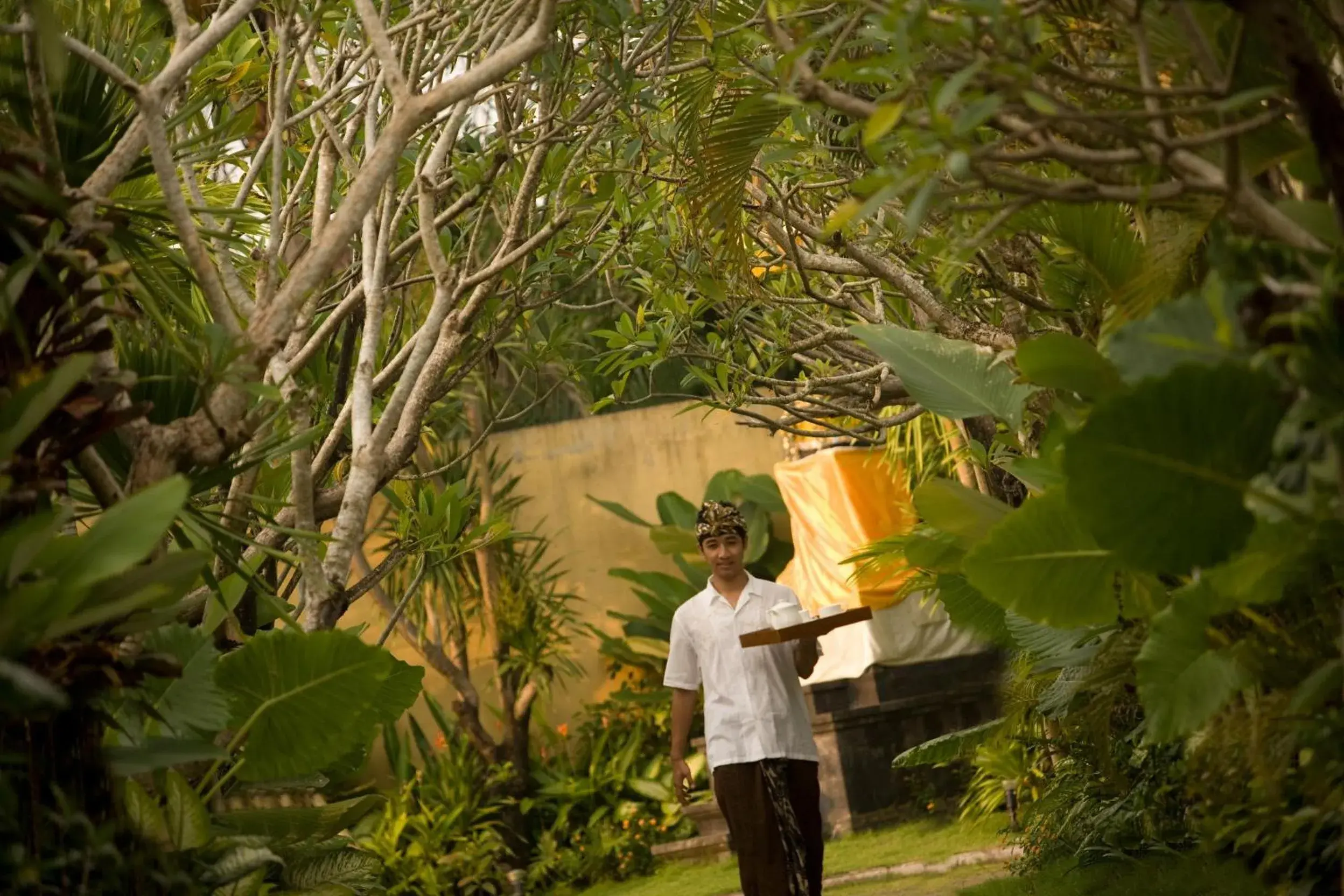 Garden in Mahagiri Villas Sanur