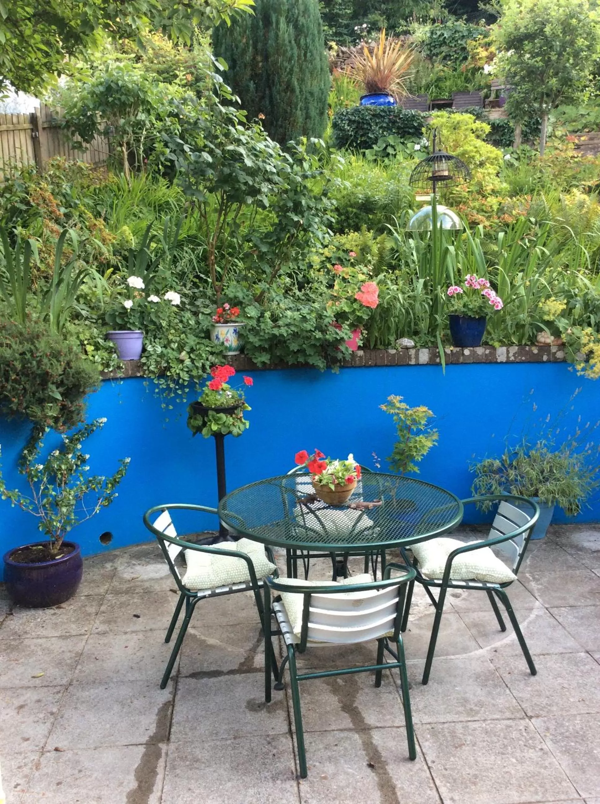 Garden in The Great Grubb Bed & Breakfast