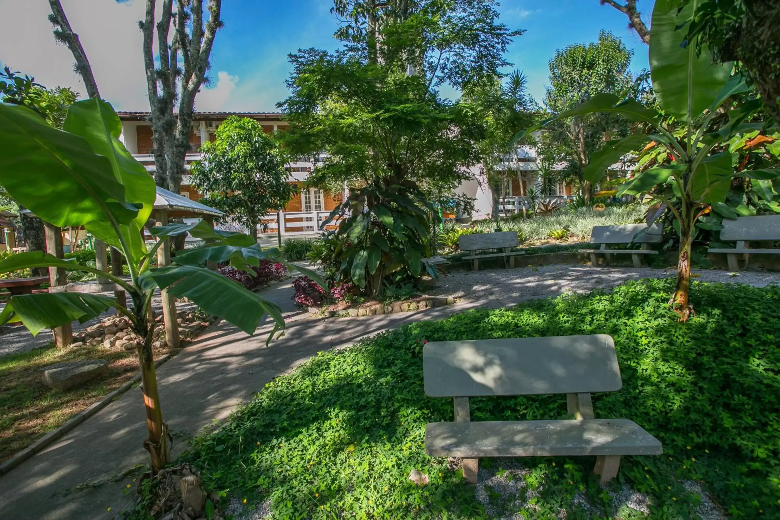 Garden in Hotel São Sebastião da Praia