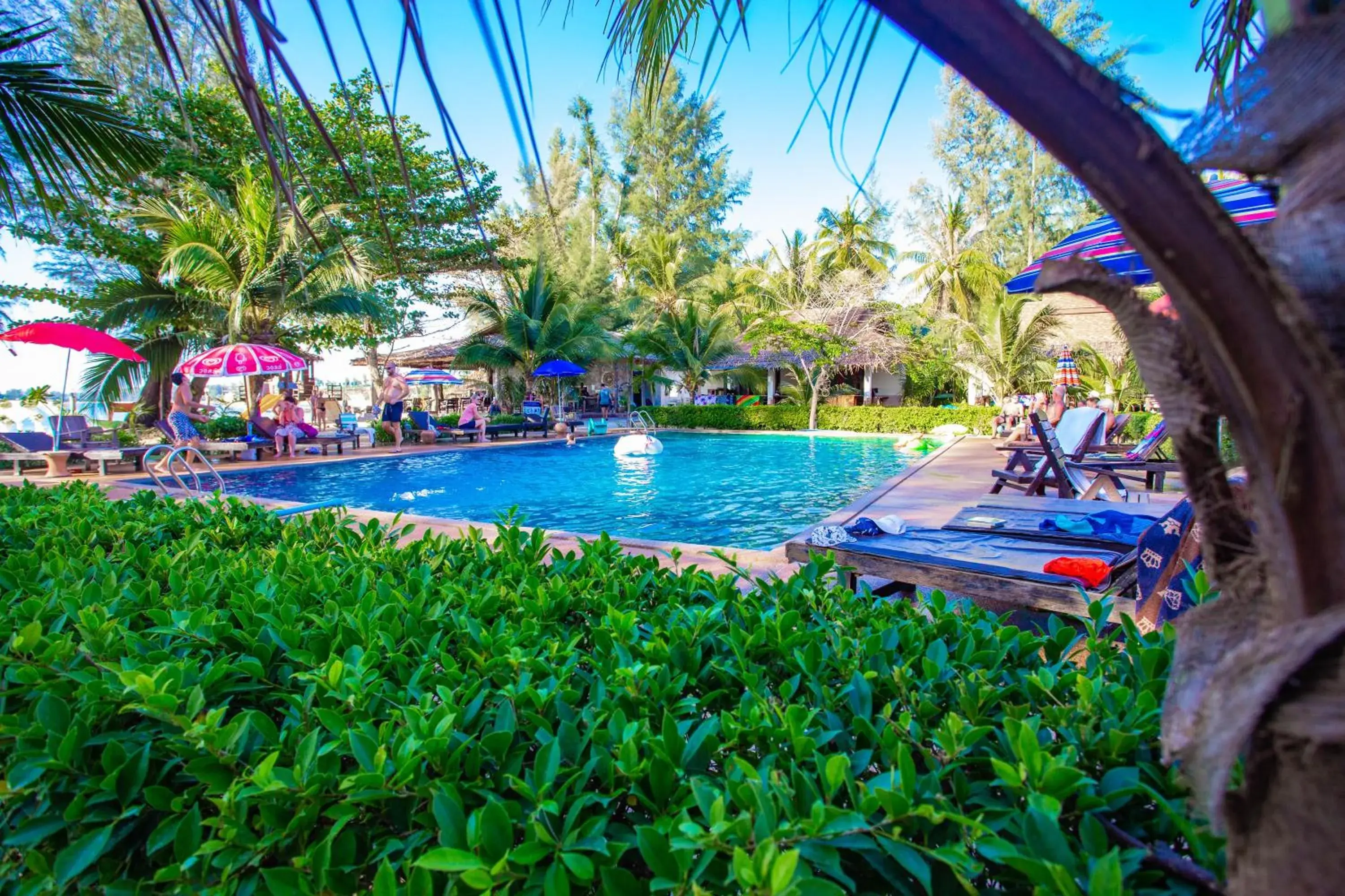 Swimming Pool in Banana Beach Resort