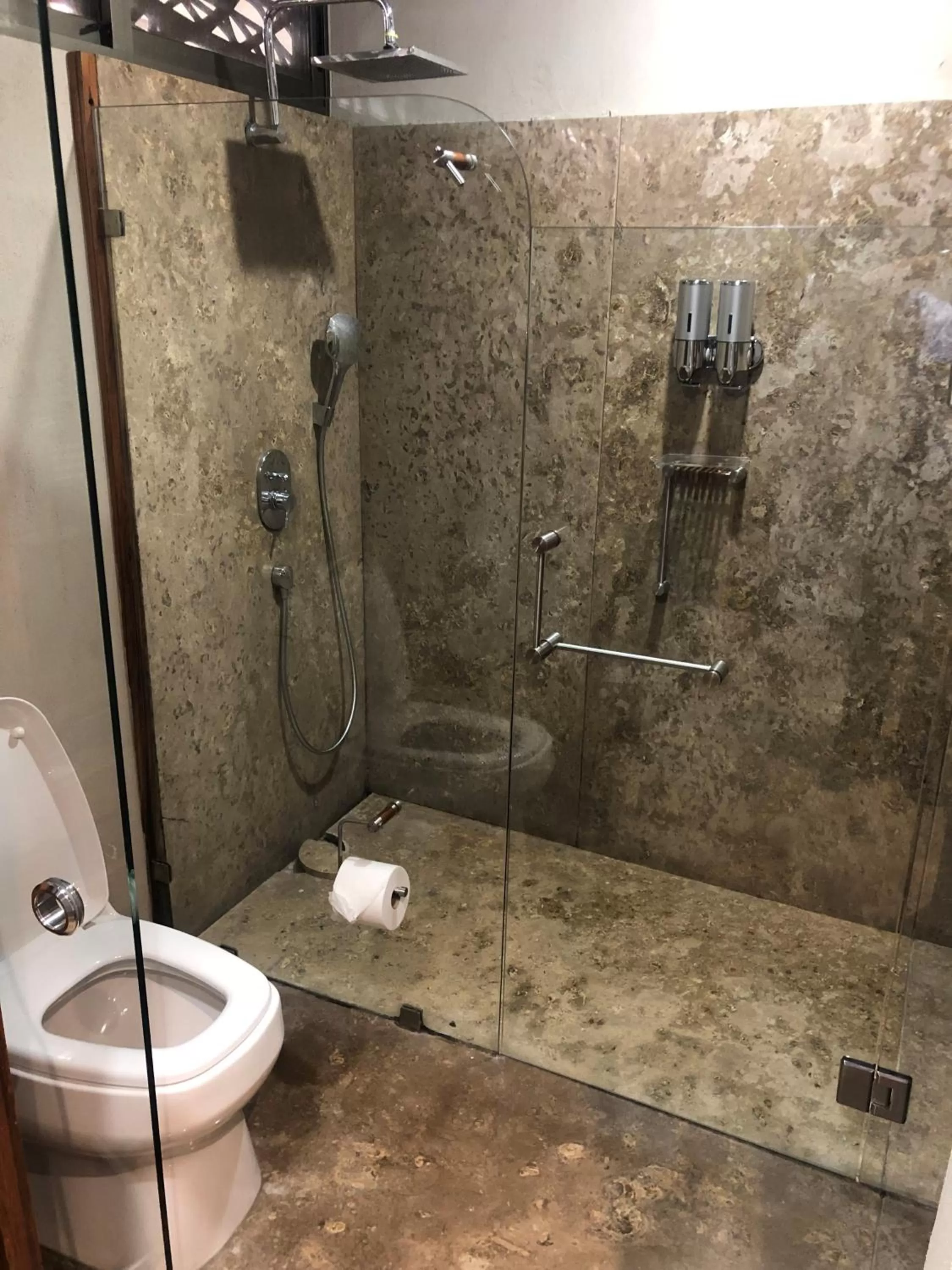 Toilet in Gamma Monterrey Rincon de Santiago