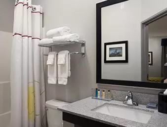 Bathroom in Hawthorn Suites by Wyndham San Angelo