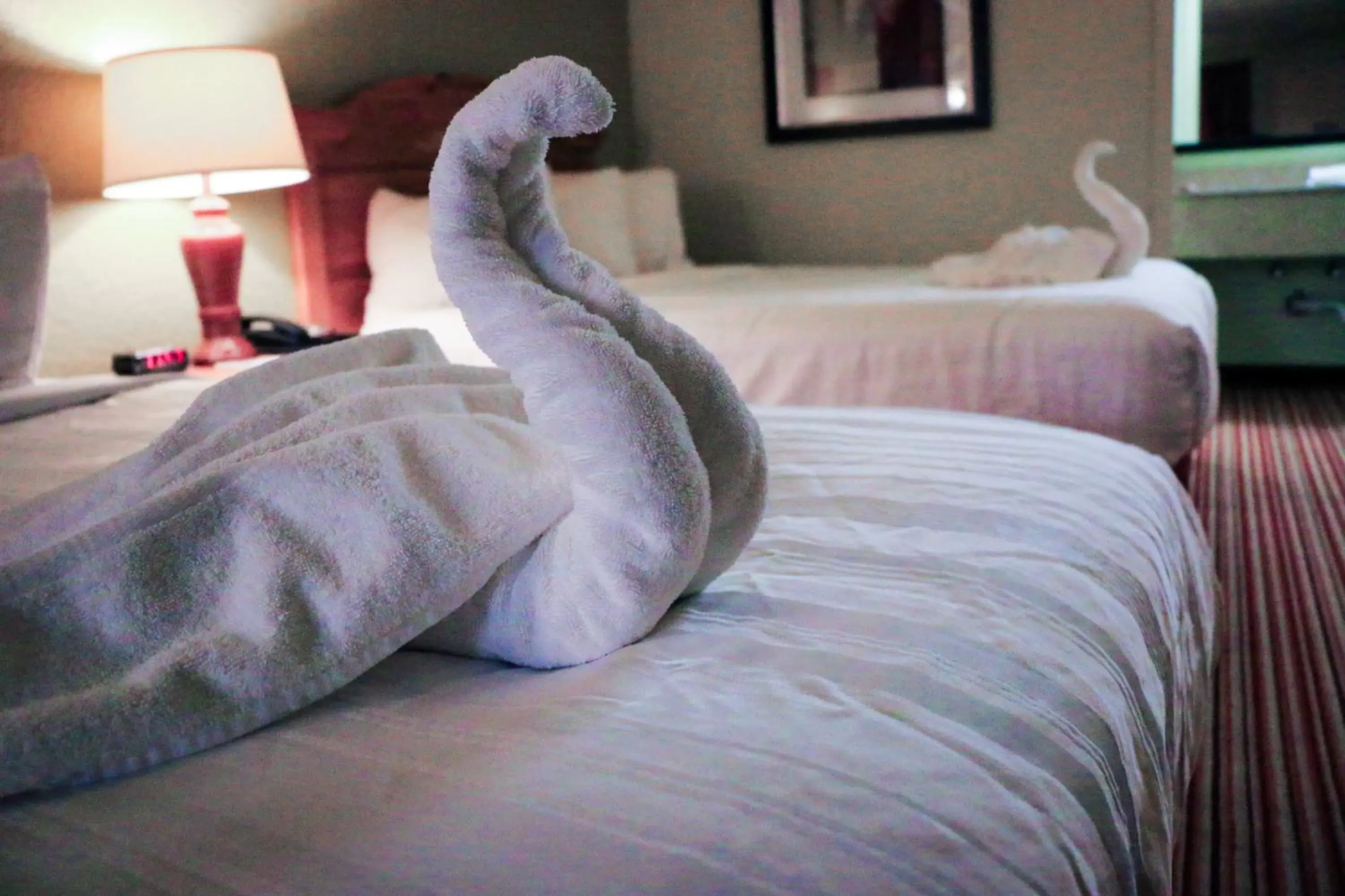 Bed in Suite Dreams Hotel