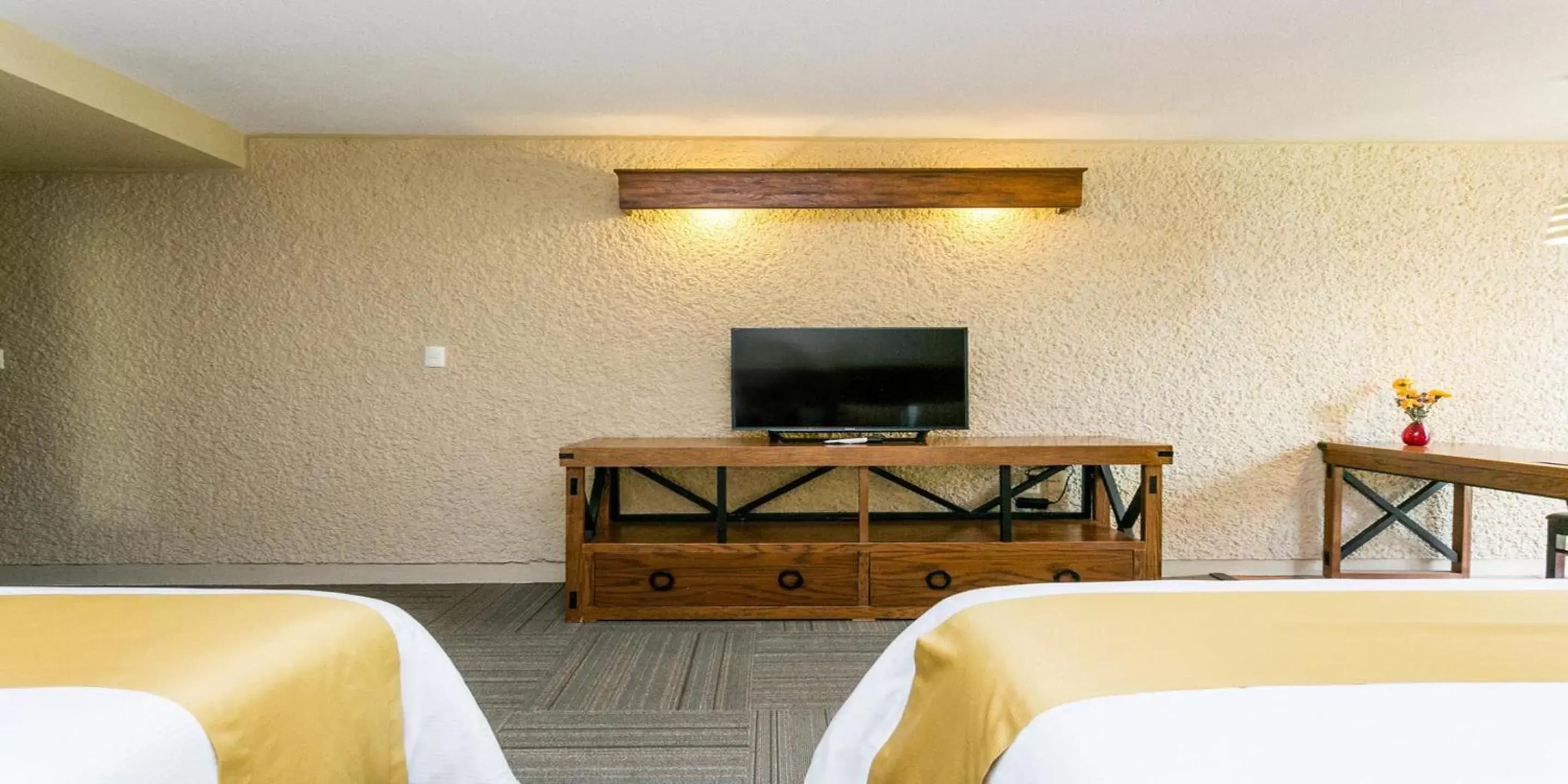 Executive in Real de Minas San Miguel de Allende Executive in Real de Minas San Miguel de Allende