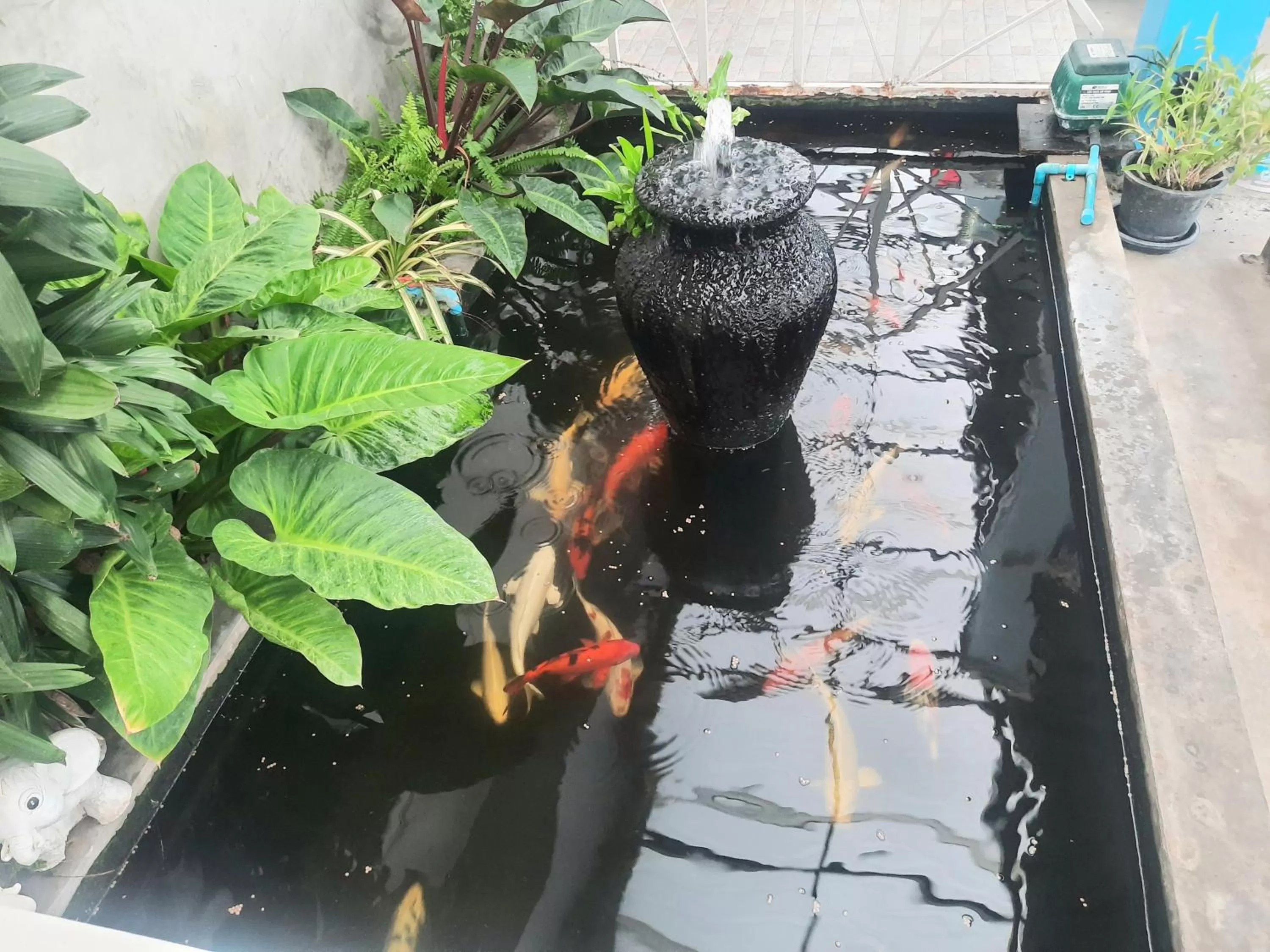 Fancy Carp Resort Hua-Hin