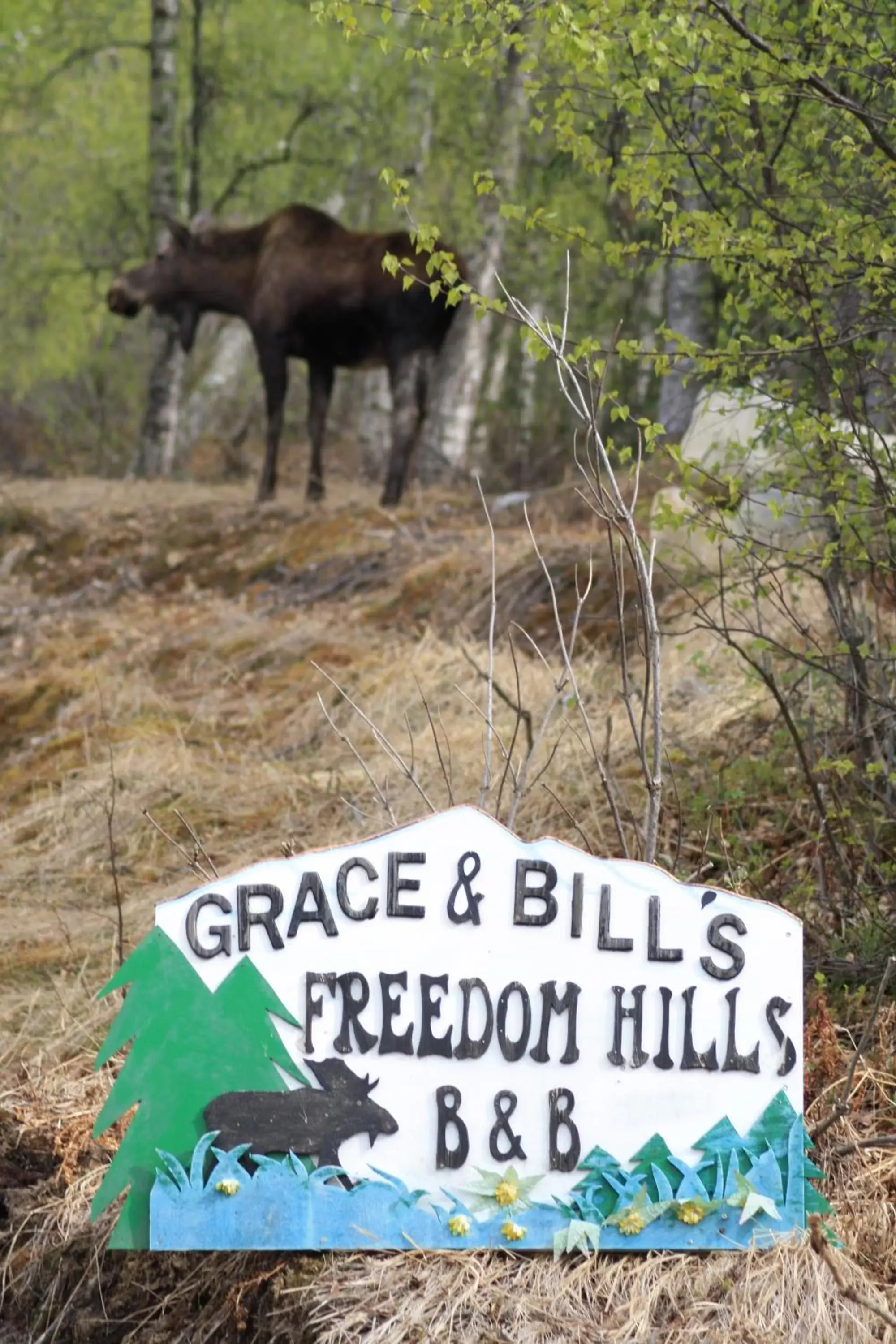 Property logo or sign in Grace and Bill's Freedom Hills B&B