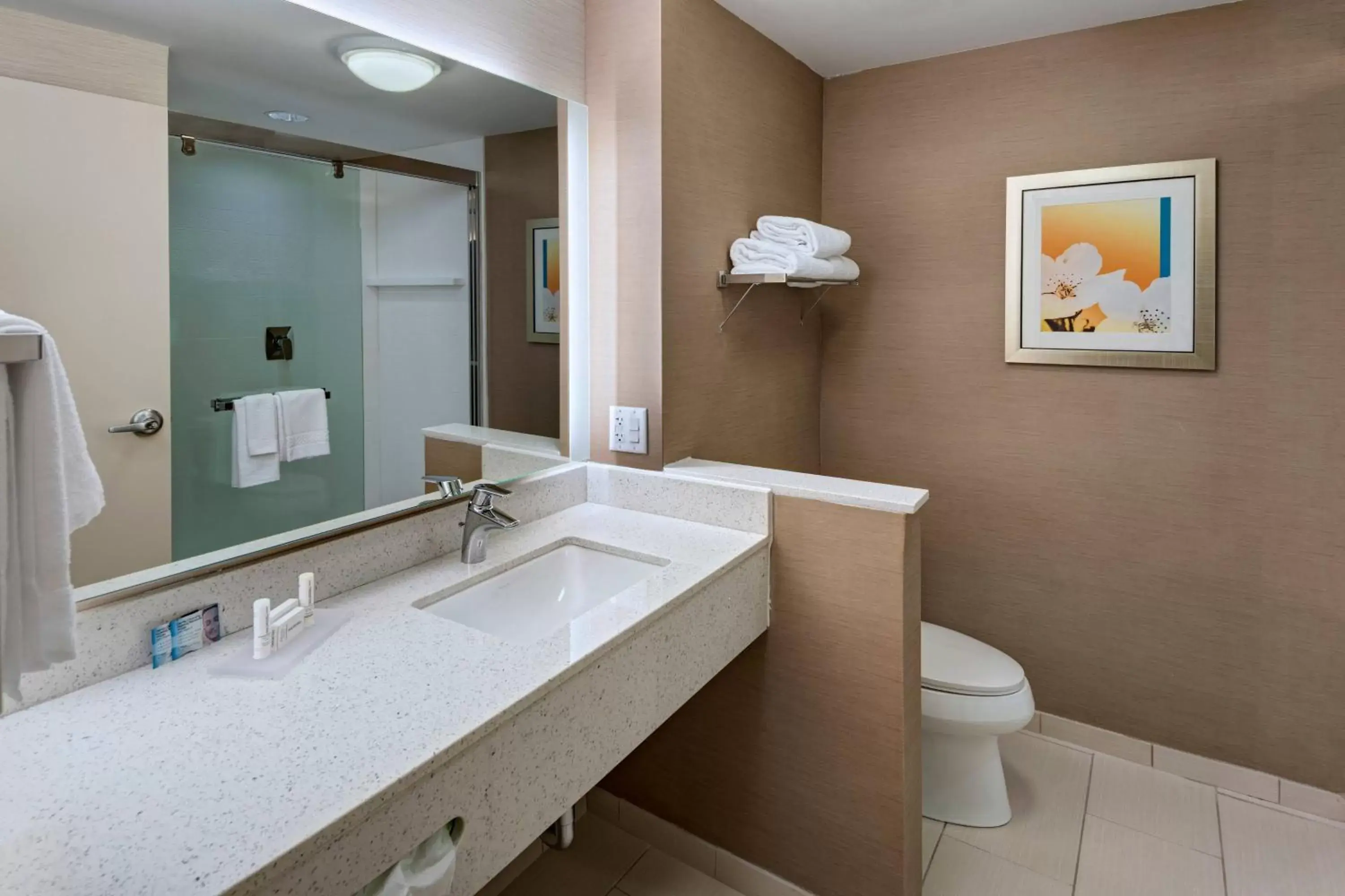 Bathroom in Fairfield Inn & Suites by Marriott Dublin