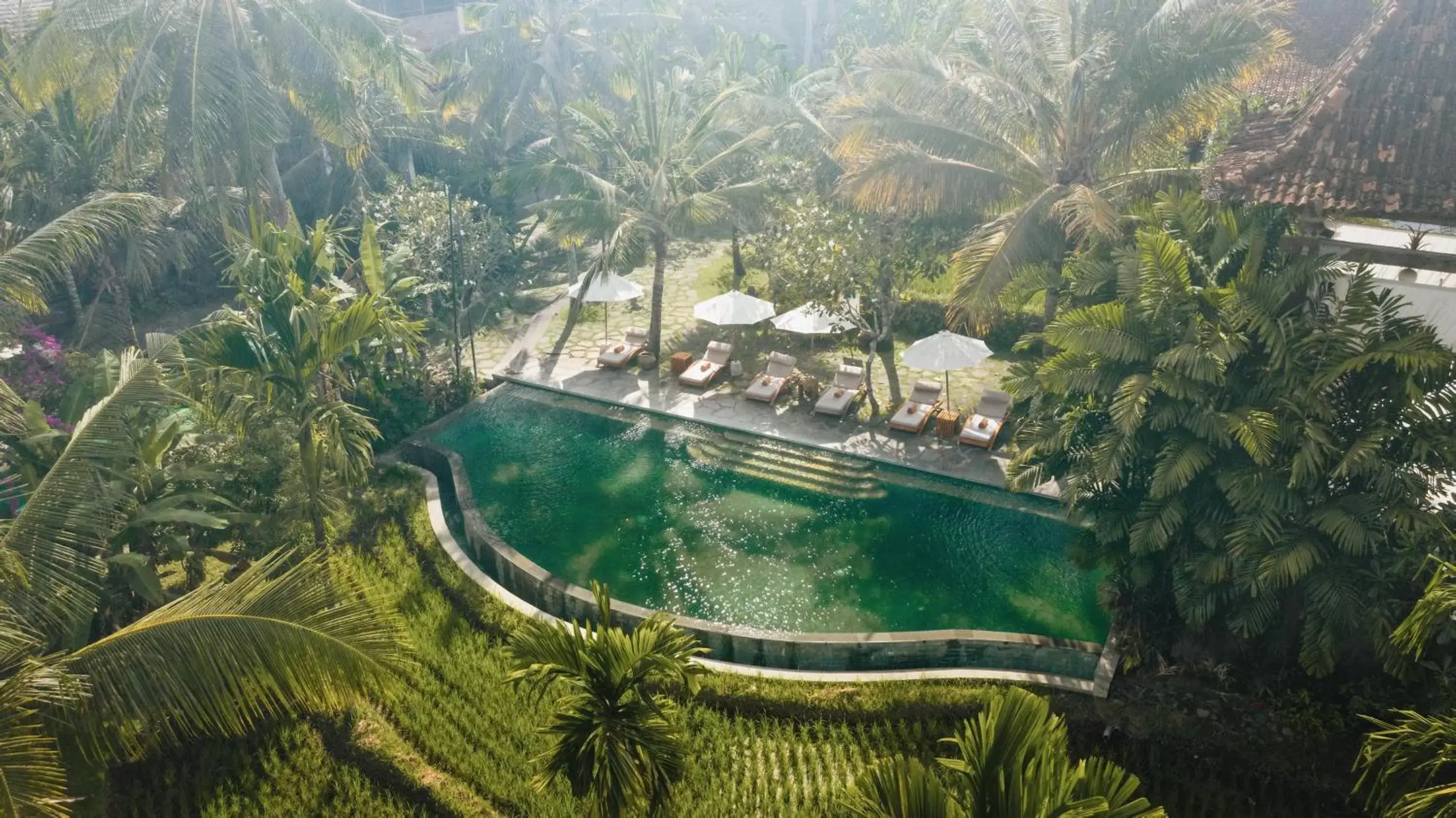 Swimming pool, Bird's-eye View in Alaya Resort Ubud