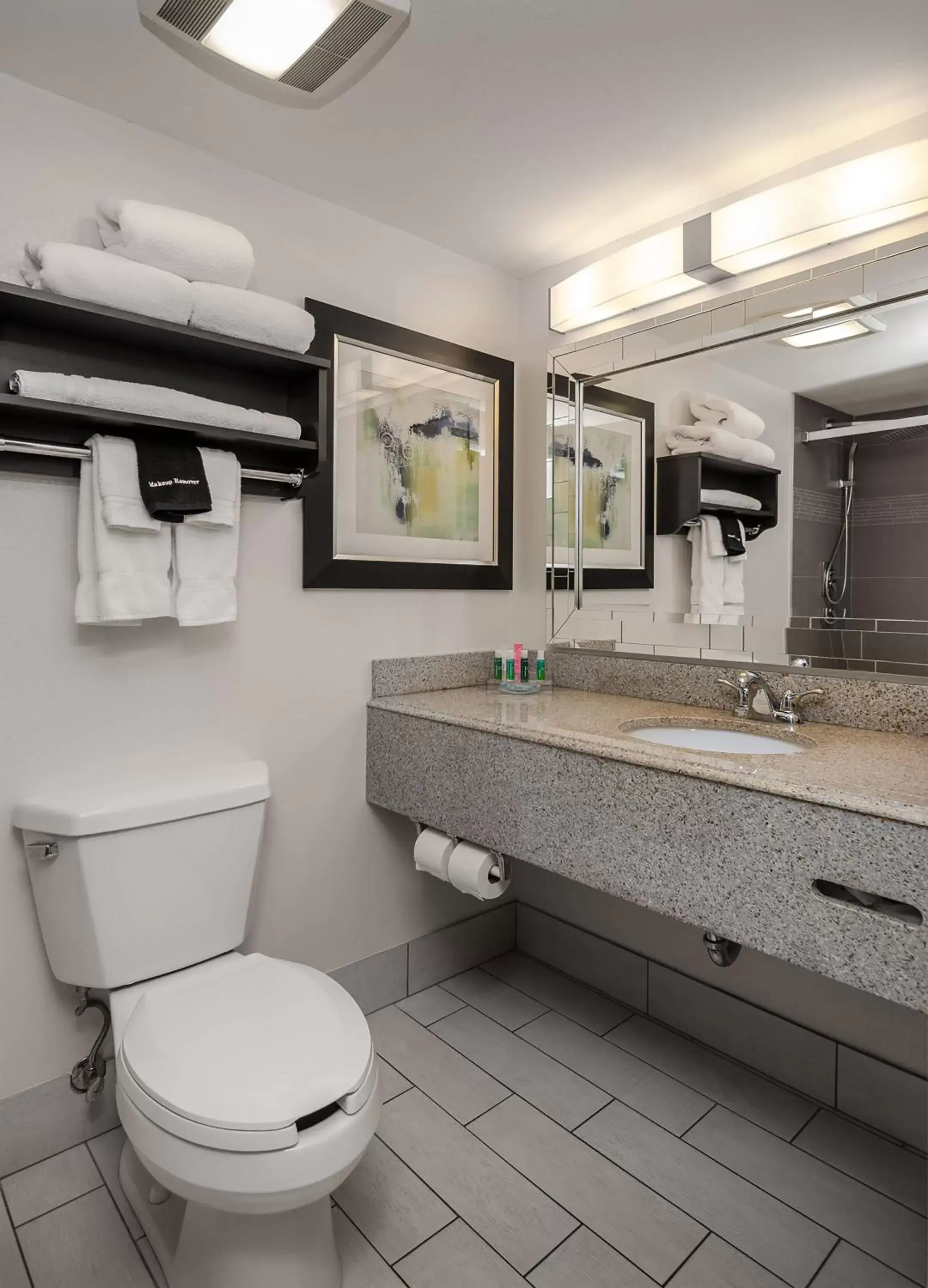 Shower, Bathroom in Holiday Inn & Suites Syracuse Airport - Liverpool, an IHG Hotel