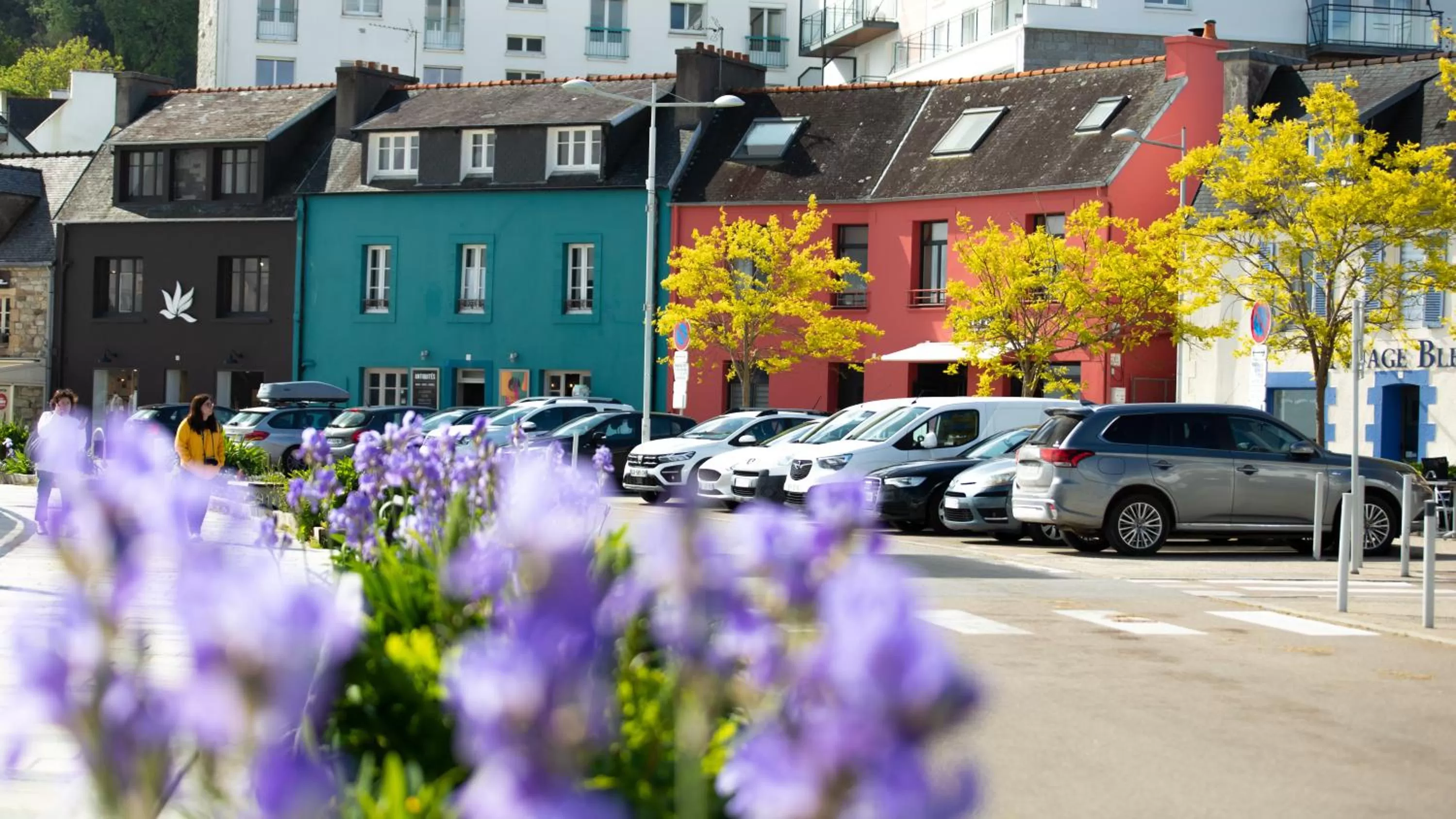 Neighbourhood in Hôtel de la Baie