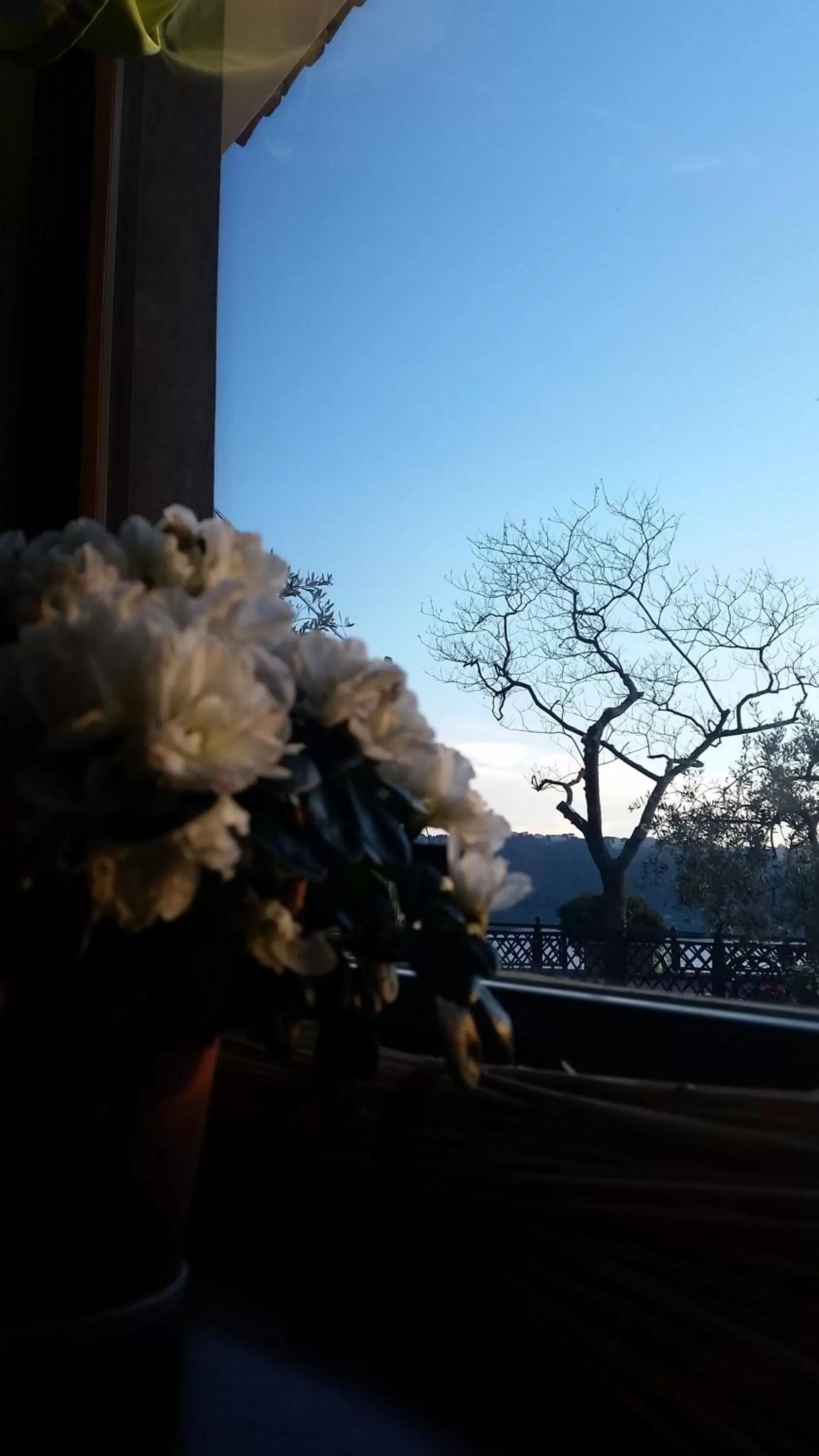 Other in Hotel Villa Degli Angeli