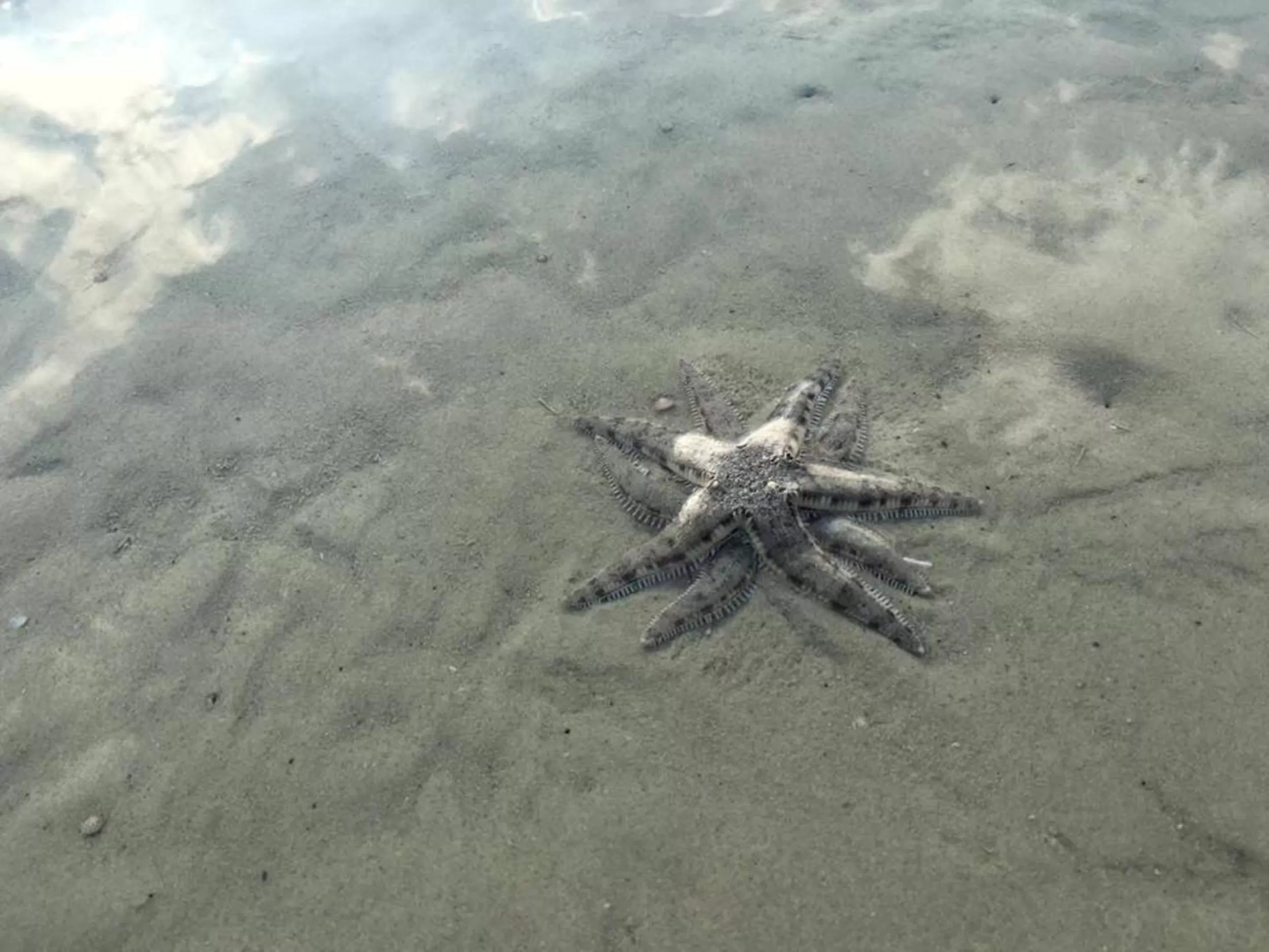 Property building in Prince John Beachfront Eco Bungalows and Restaurant