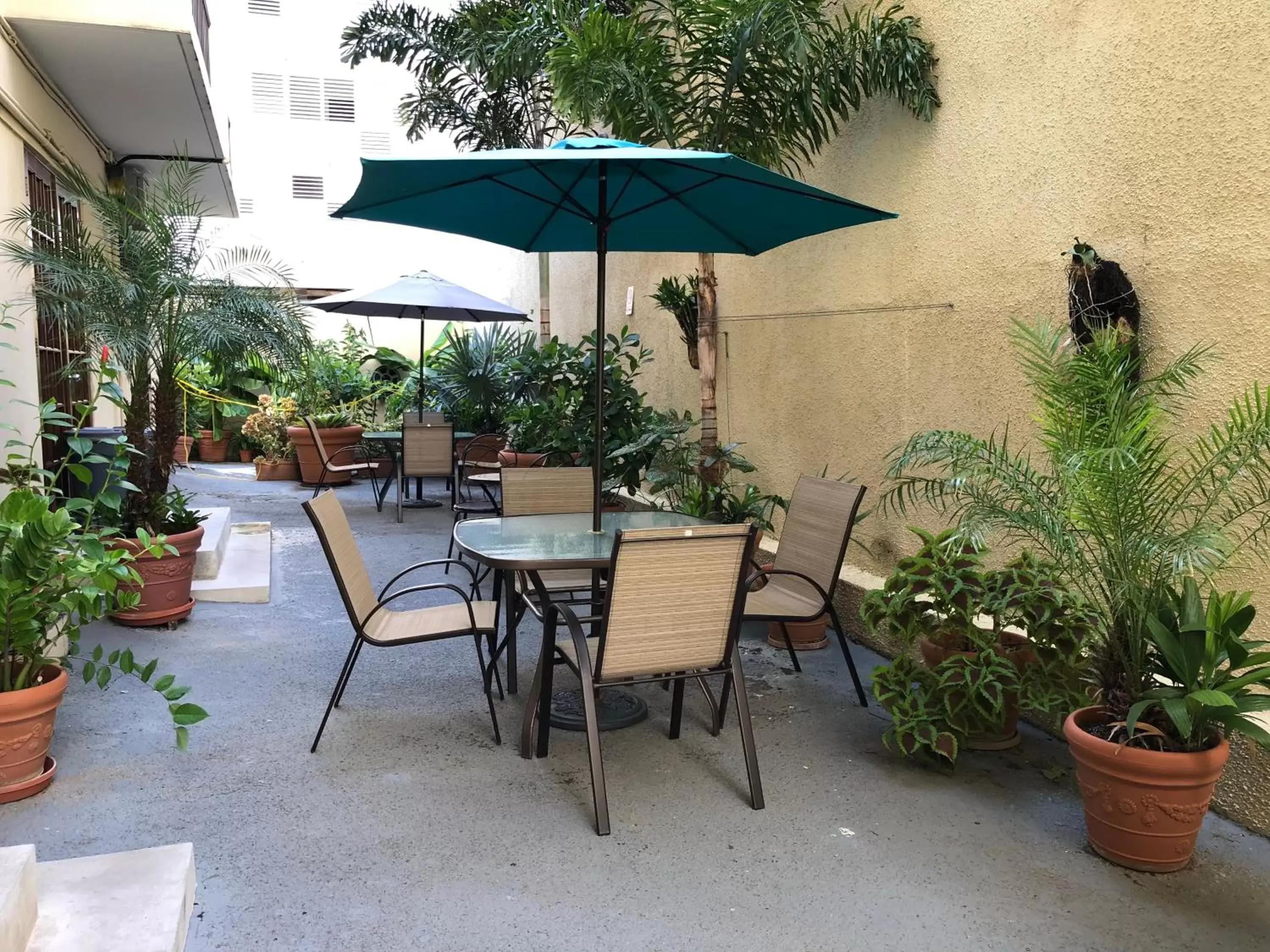 Patio, Patio/Outdoor Area in Canario Lagoon Hotel