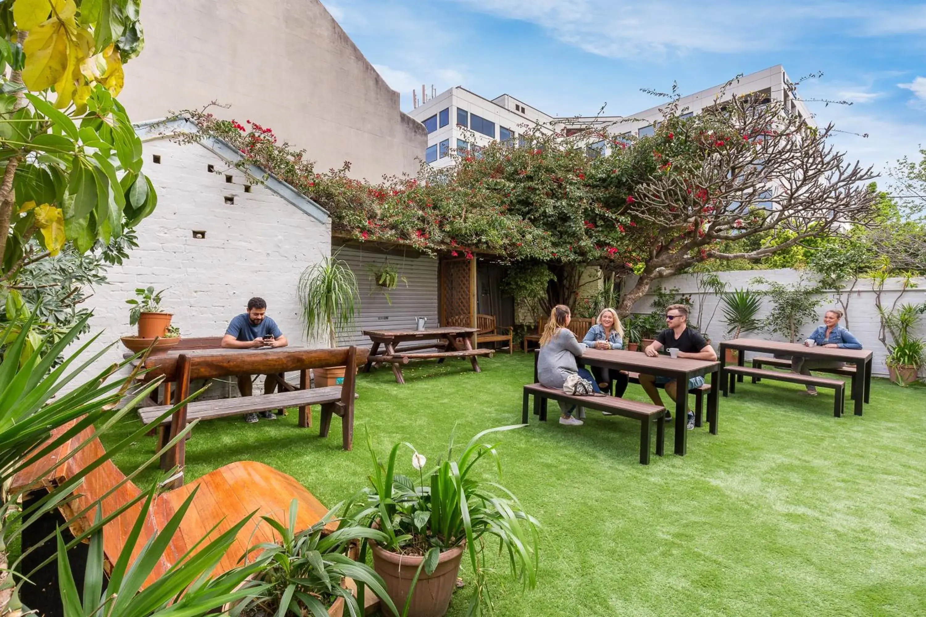 People, Patio/Outdoor Area in Secret Garden Backpackers, Sydney