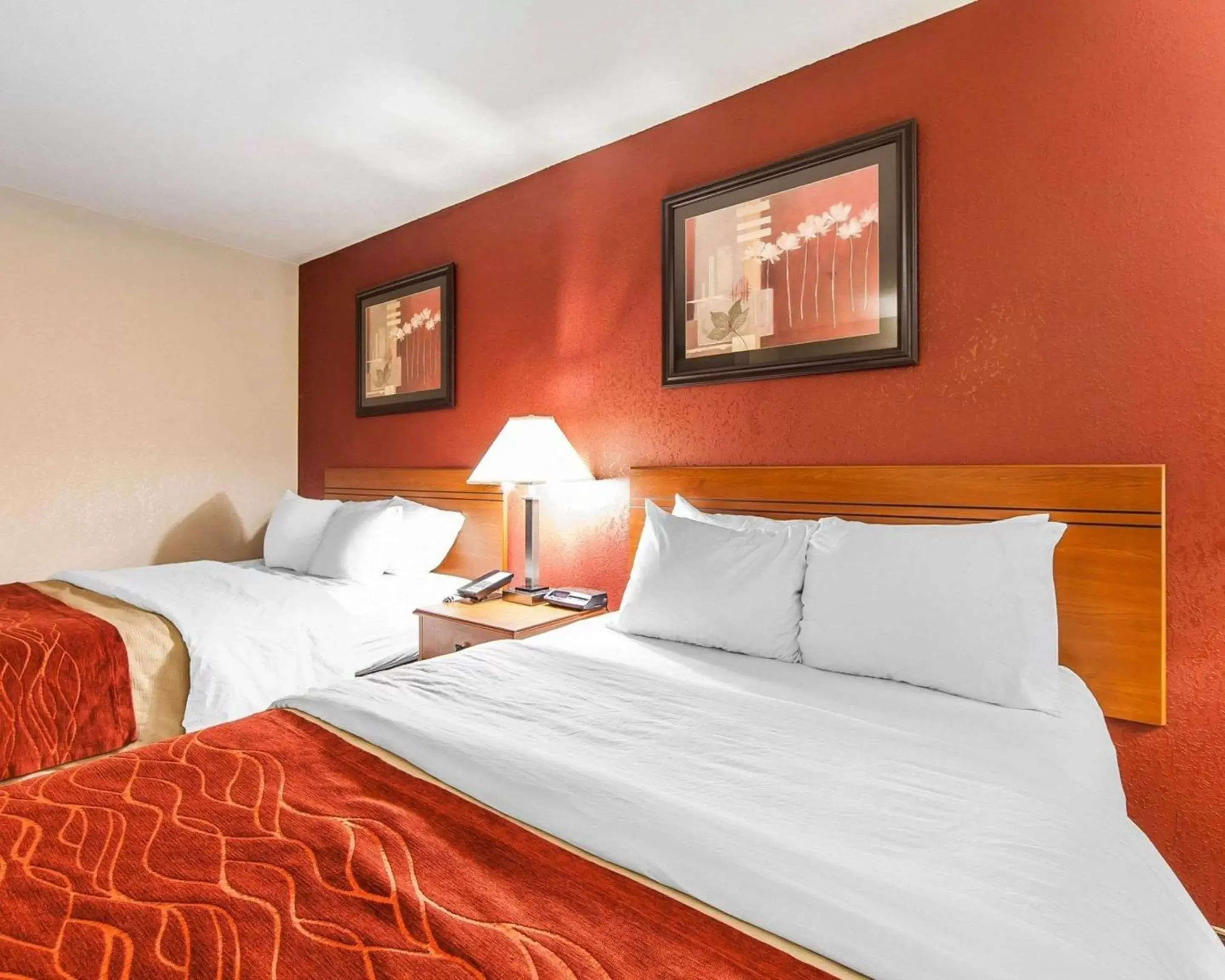 Photo of the whole room, Bed in Quality Inn Seaman Photo of the whole room, Bed in Quality Inn Seaman