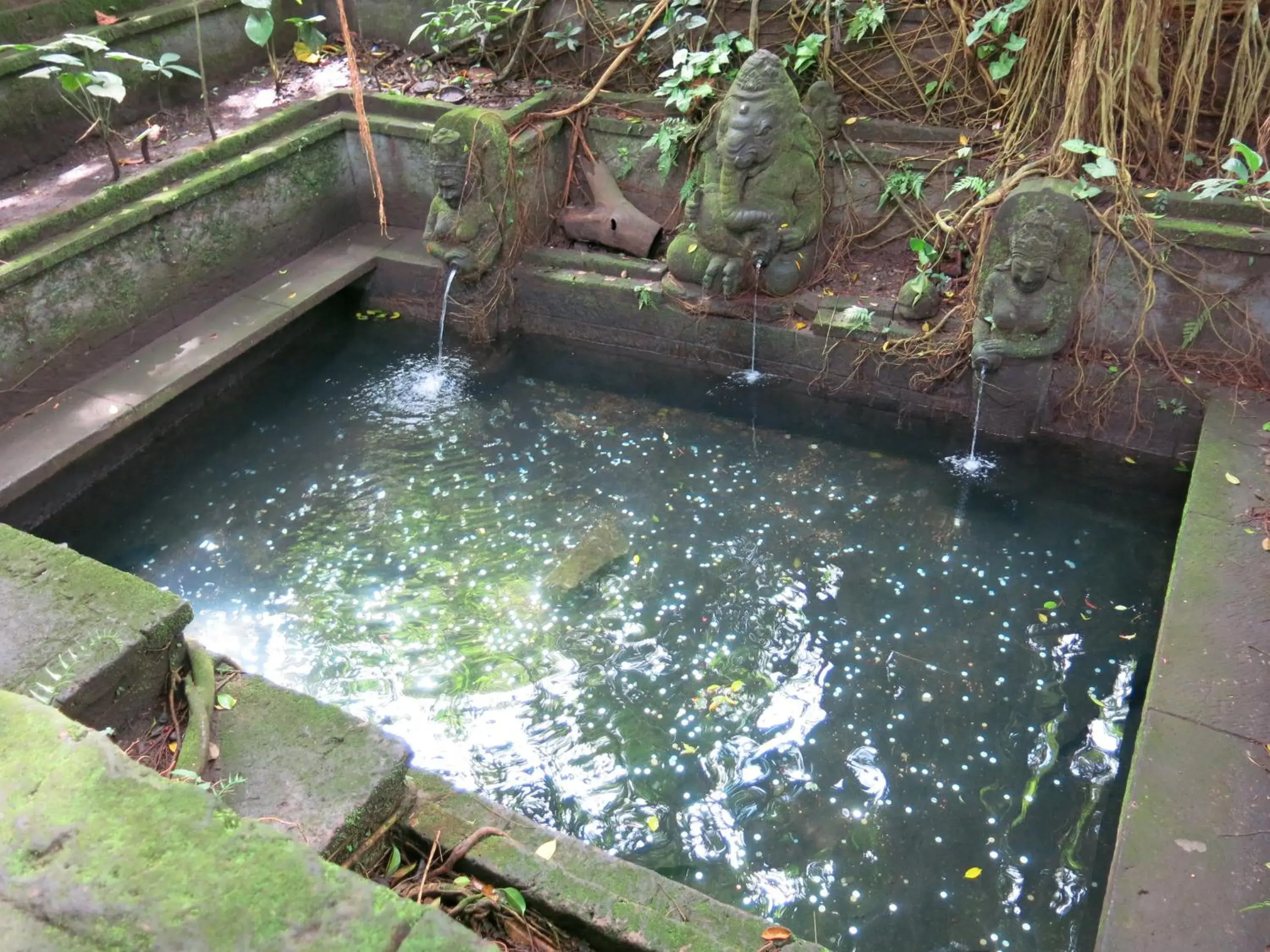 Area and facilities, Pool View in Kadiga Villas Ubud