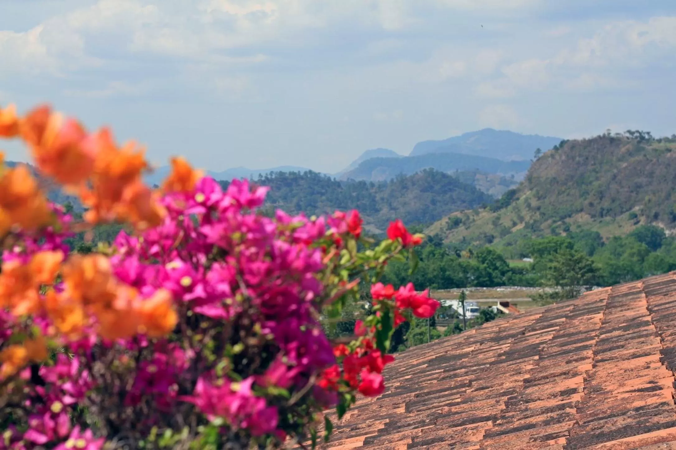 La Casa de Cafe Bed and Breakfast