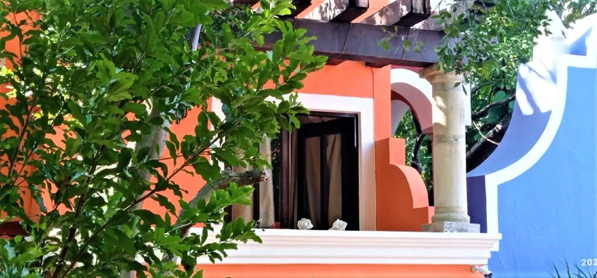 Balcony/Terrace in Hotel Casa de las Flores
