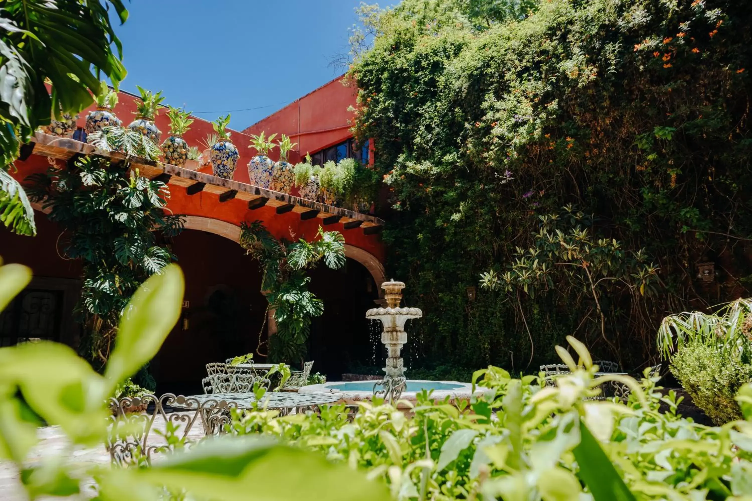 Patio, Garden in Casa Luna Hotel Boutique